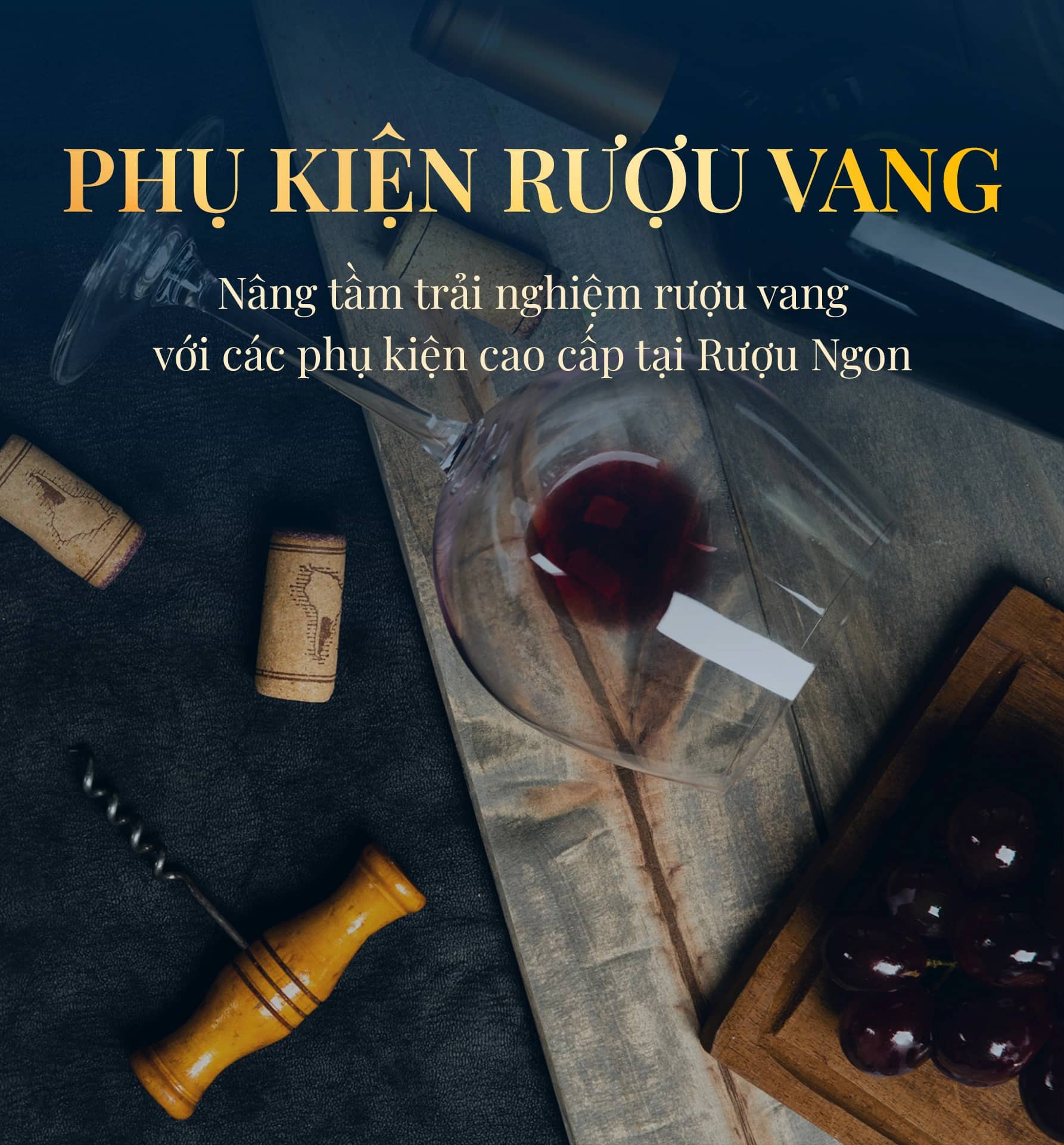 Phụ Kiện Rượu Vang 2