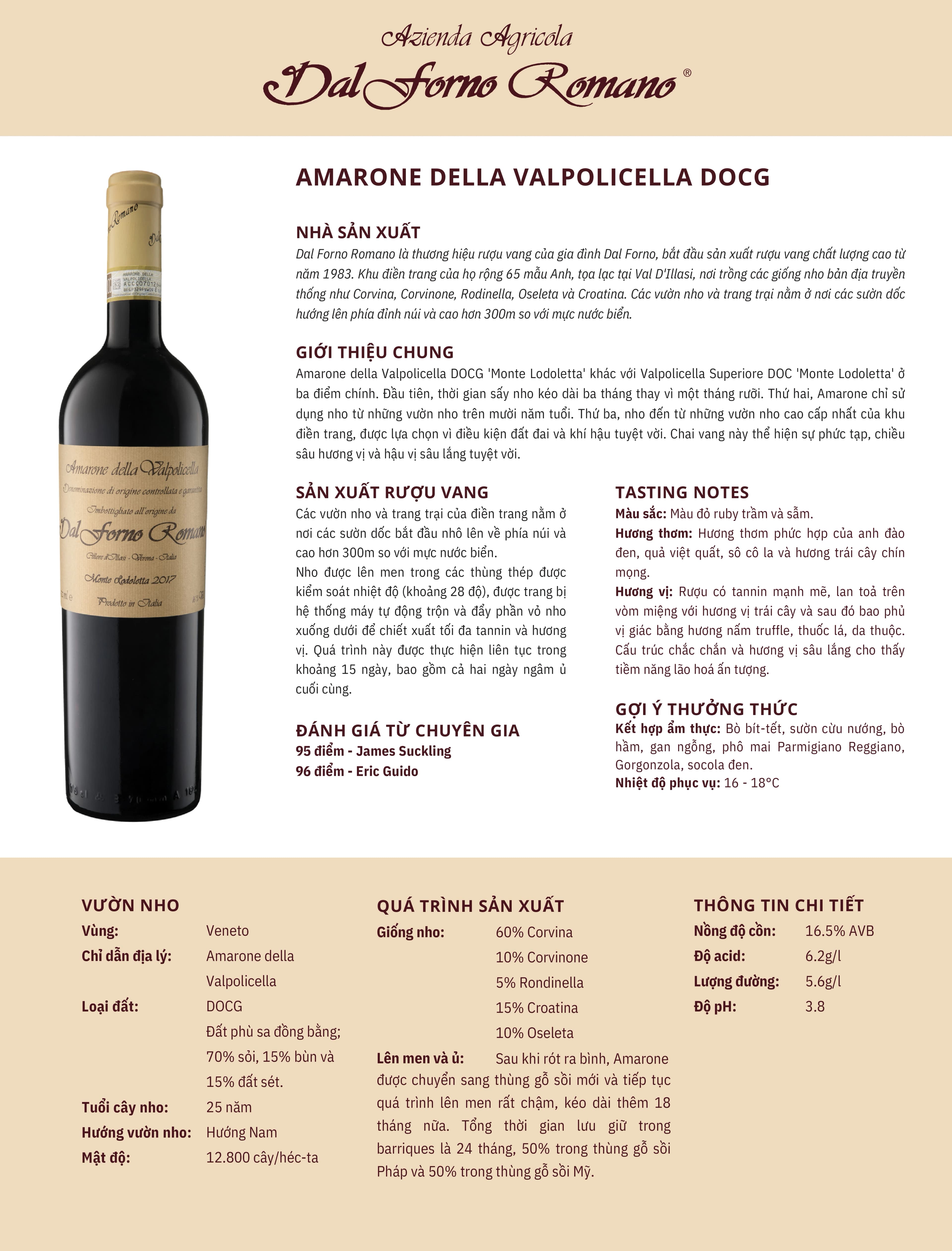 Tasting Notes Amarone Della Valpolicella Docg