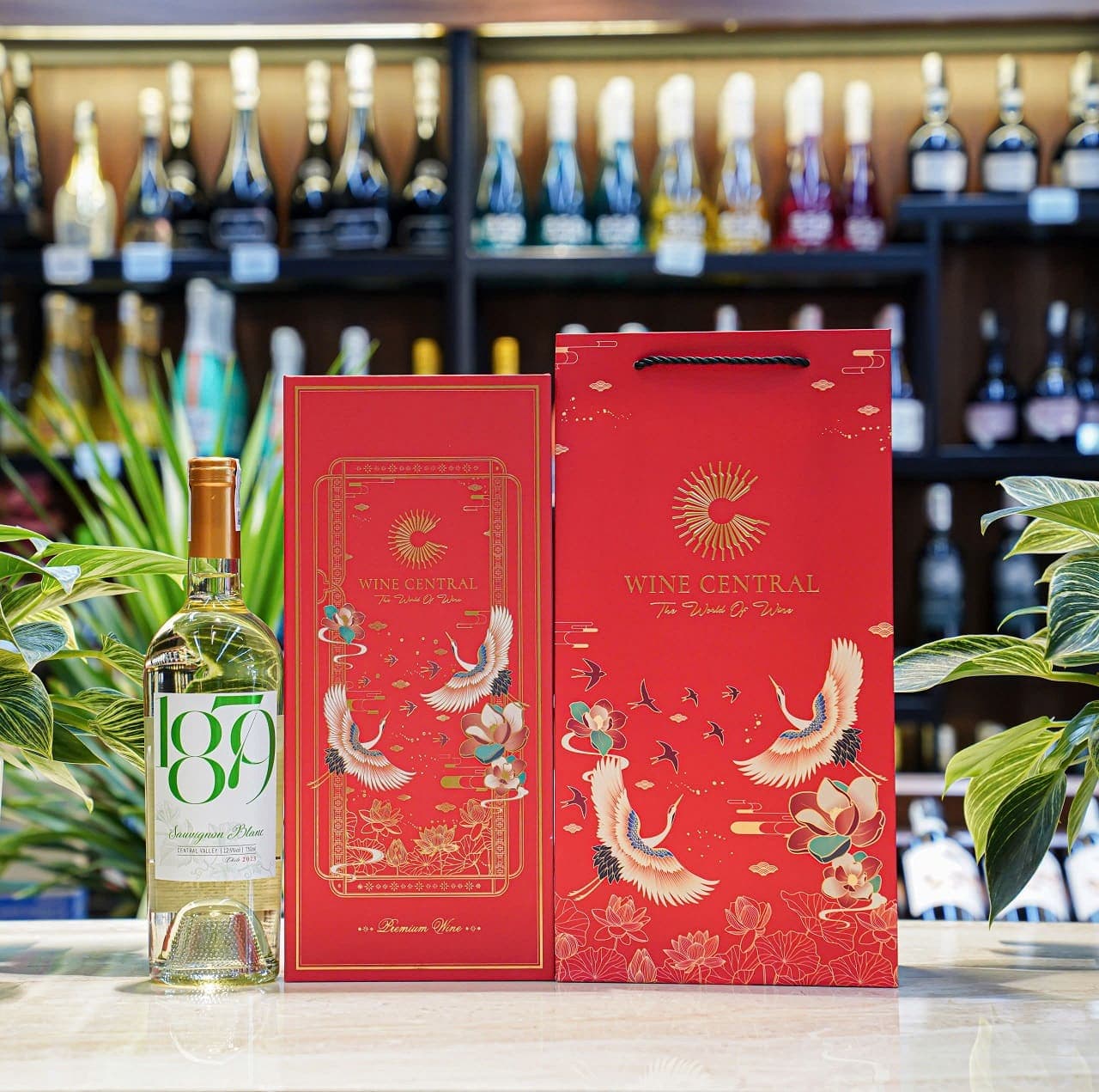 Ruou Vang Trang 1879 Sauvignon Blanc 5