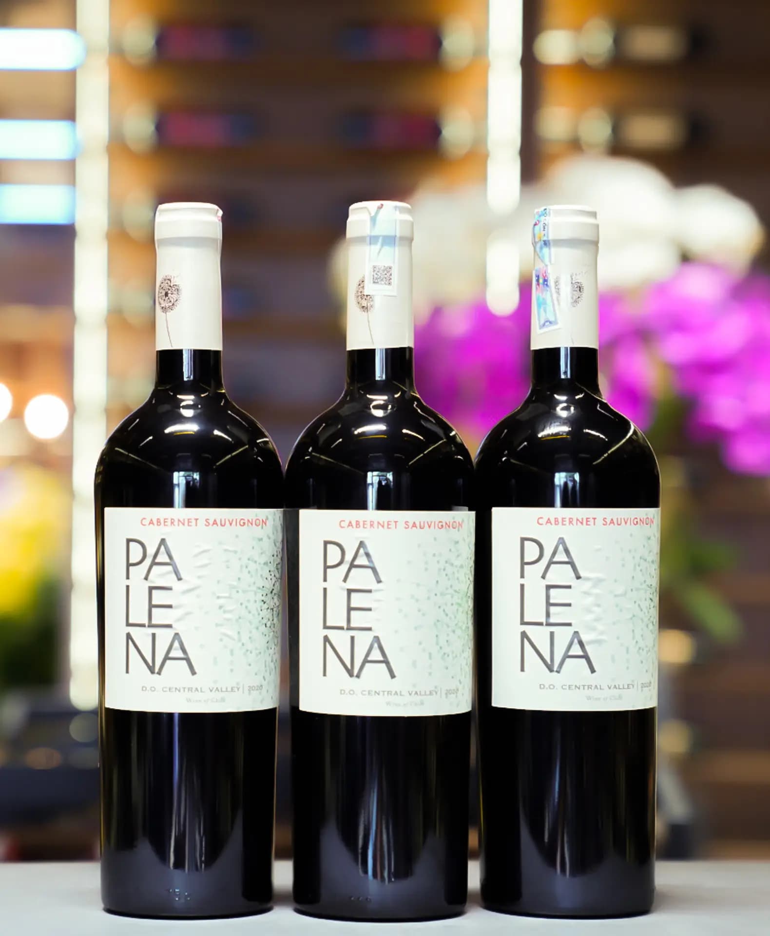 Ruou Vang Chile Palena Carbernet Sauvignon 5