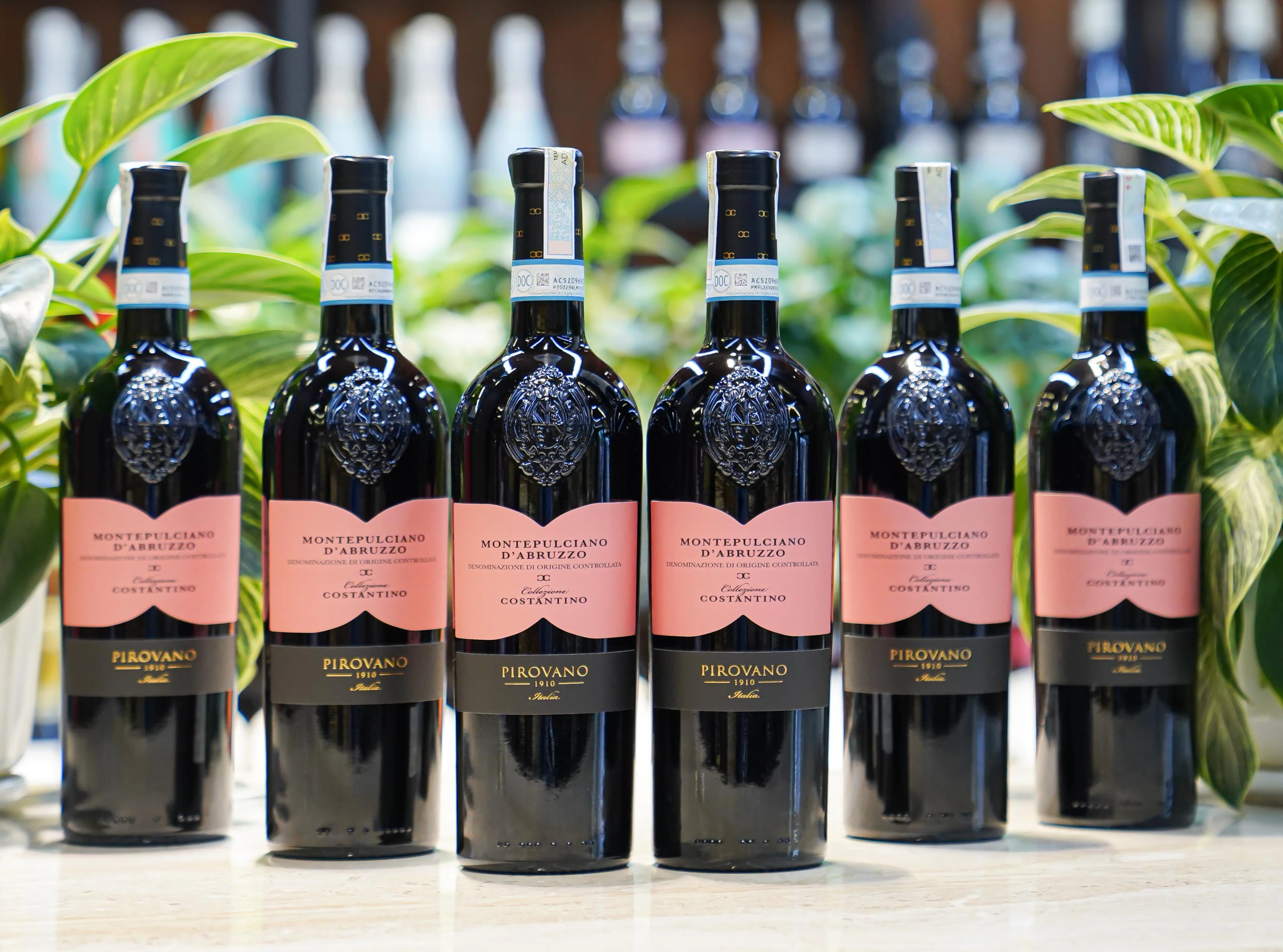 Ruou Vang Pirovano Montepulciano Delle Venezie 7