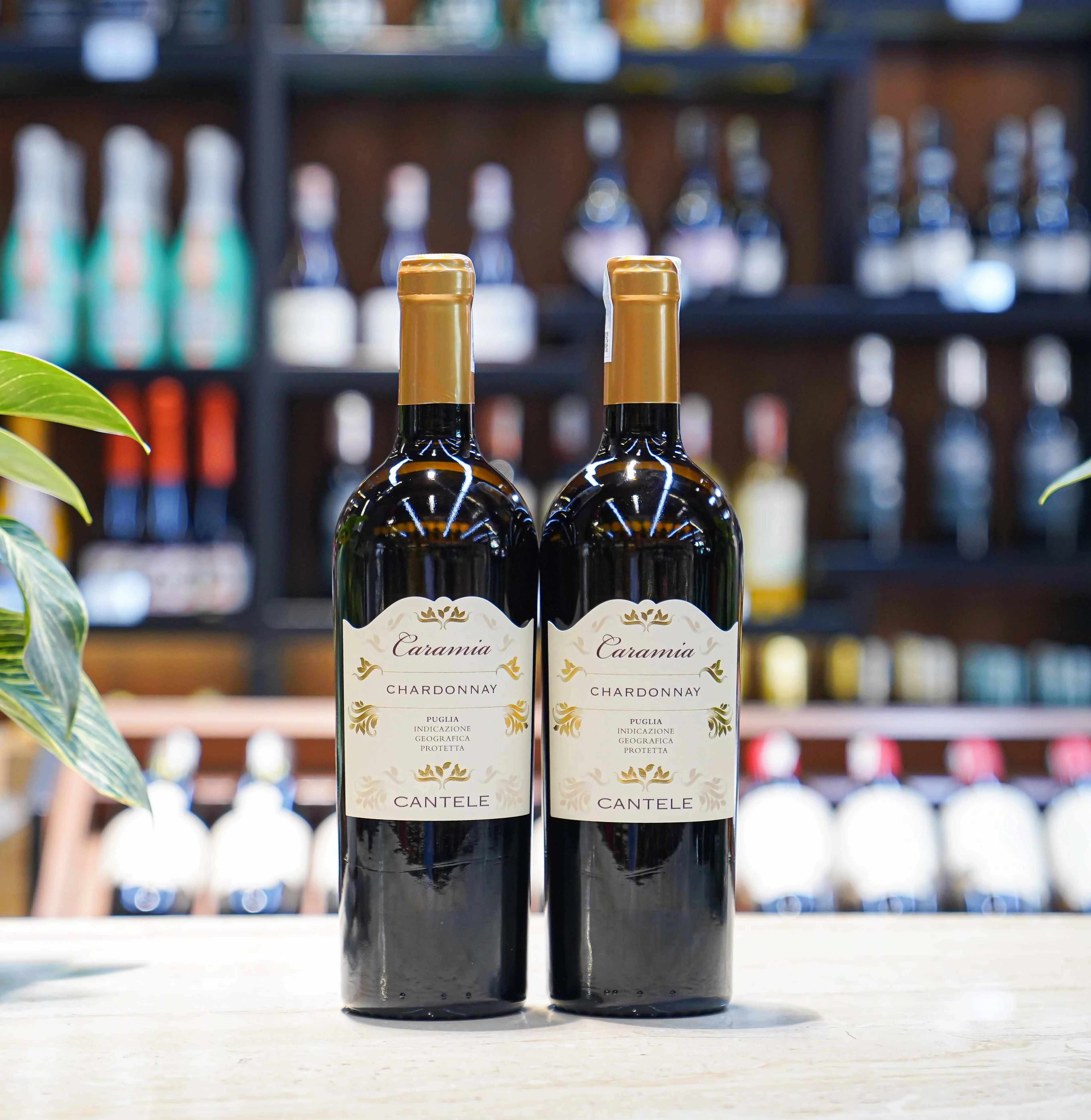 Ruou Vang Do Caramia Chardonnay 8