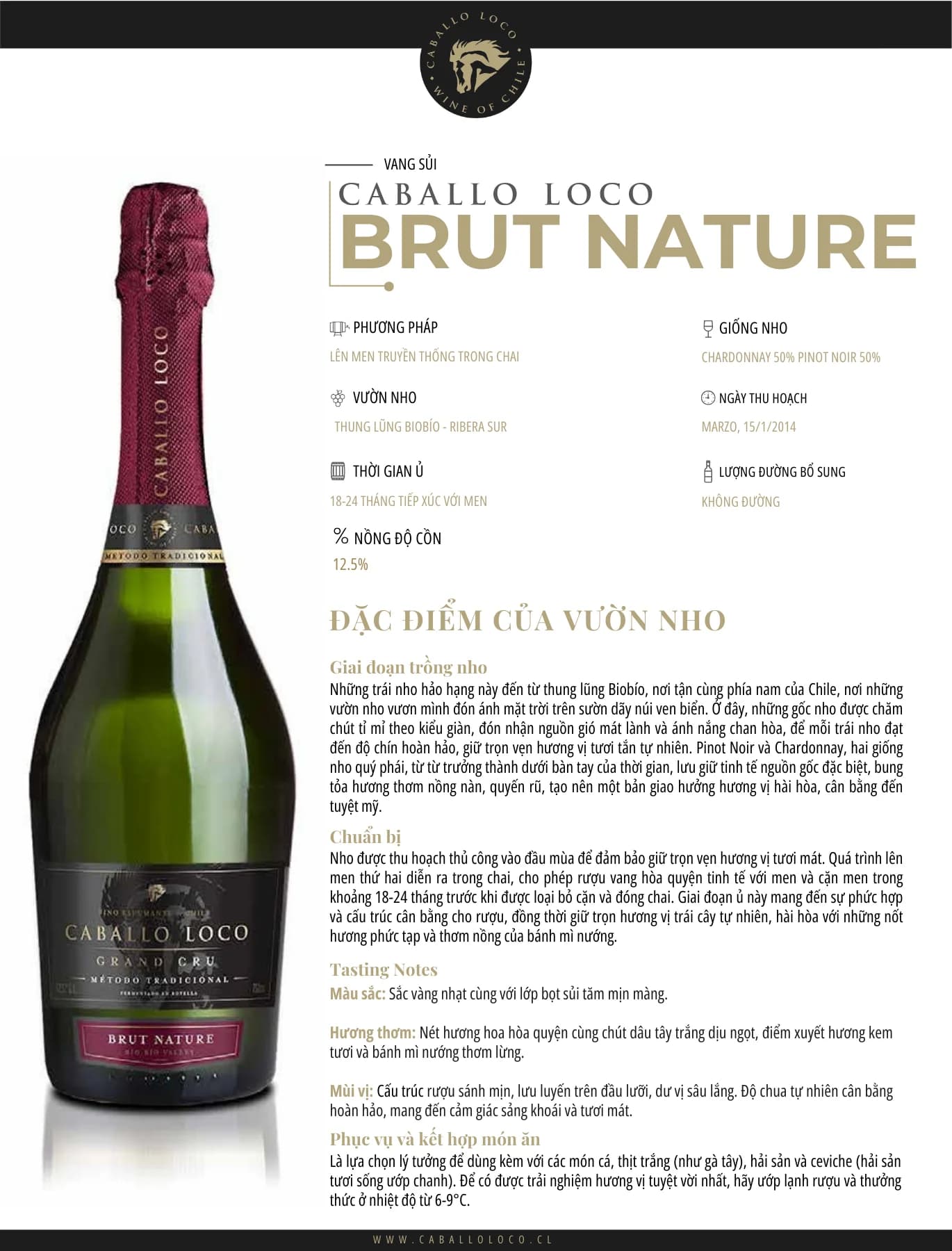 Tasting Notes Caballo Loco Brut Nature