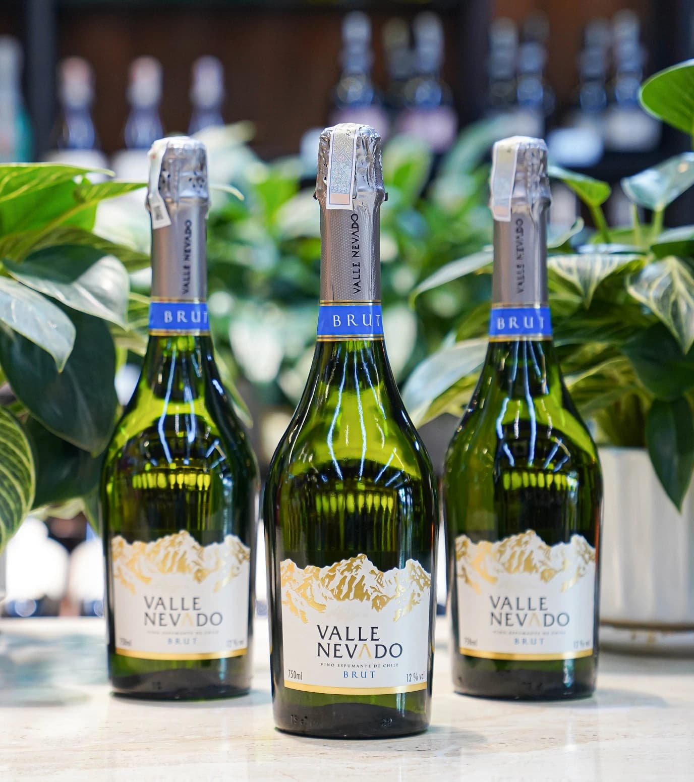 Ruou Vang Chile Valle Nevado Sparkling 3