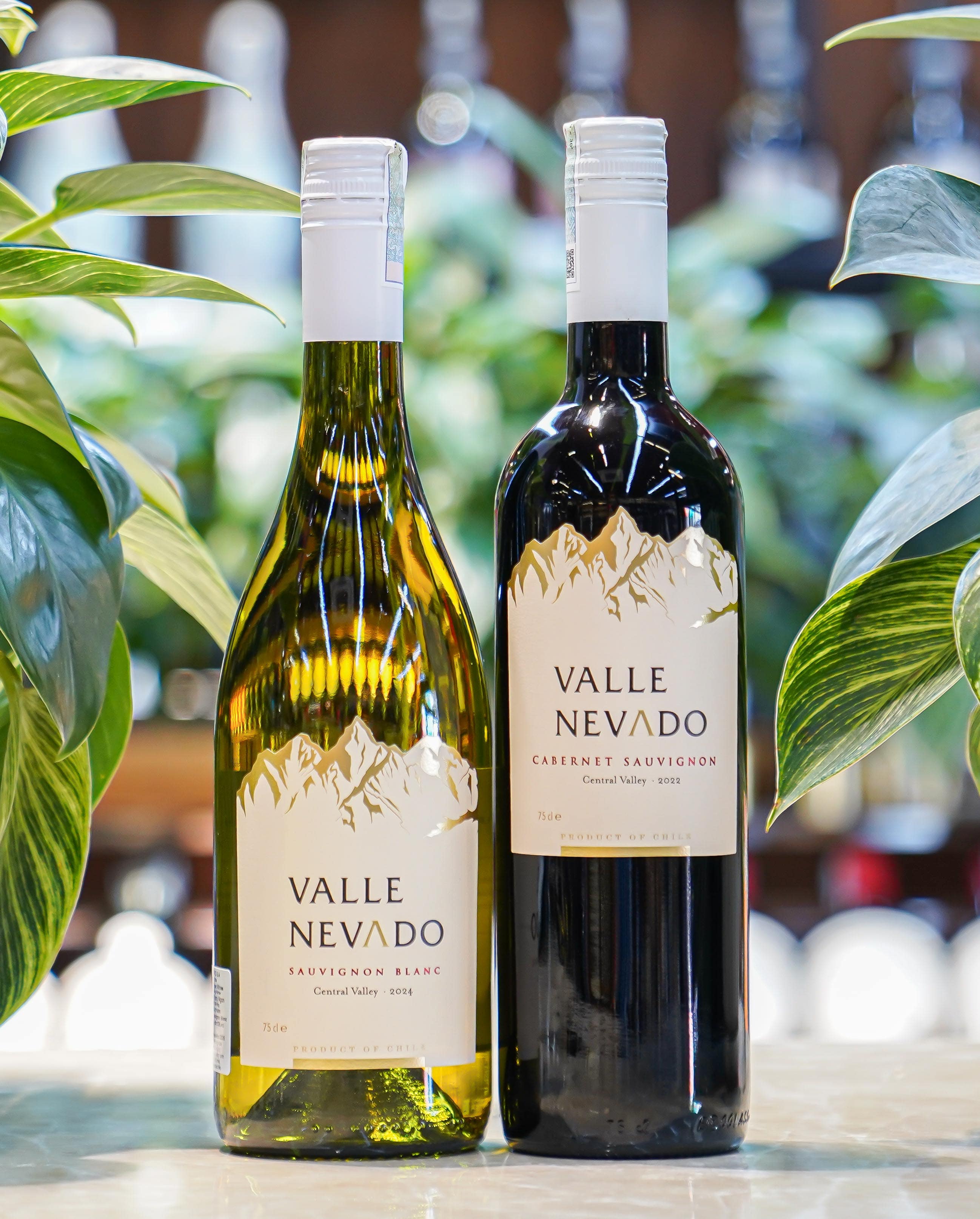 Valle Nevado Sauvignon Blanc (2)