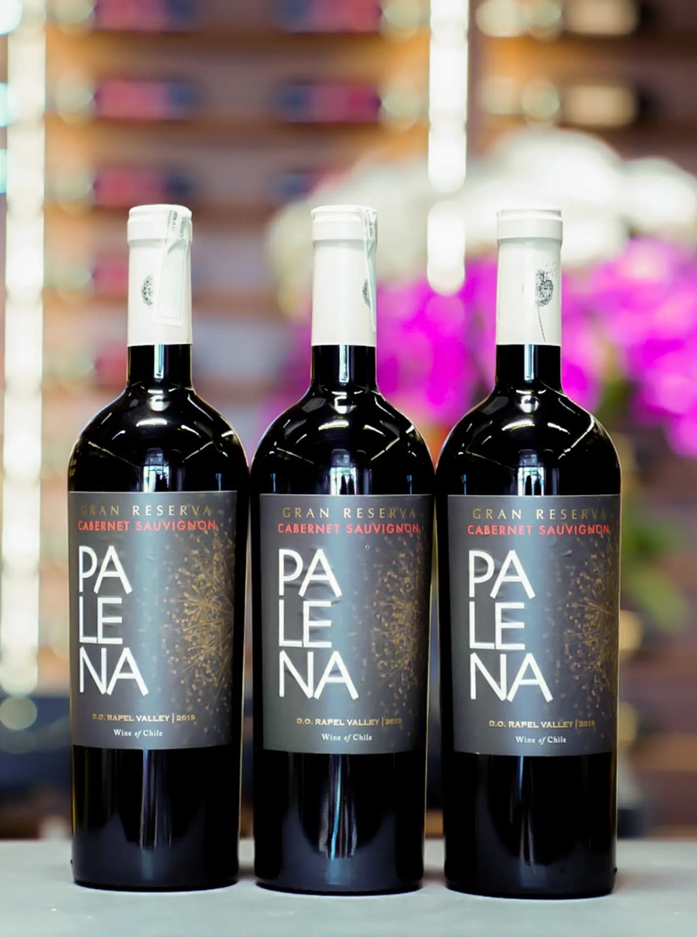 Ruou Vang Chile Palena Gran Reserva Cabernet Sauvignon 5