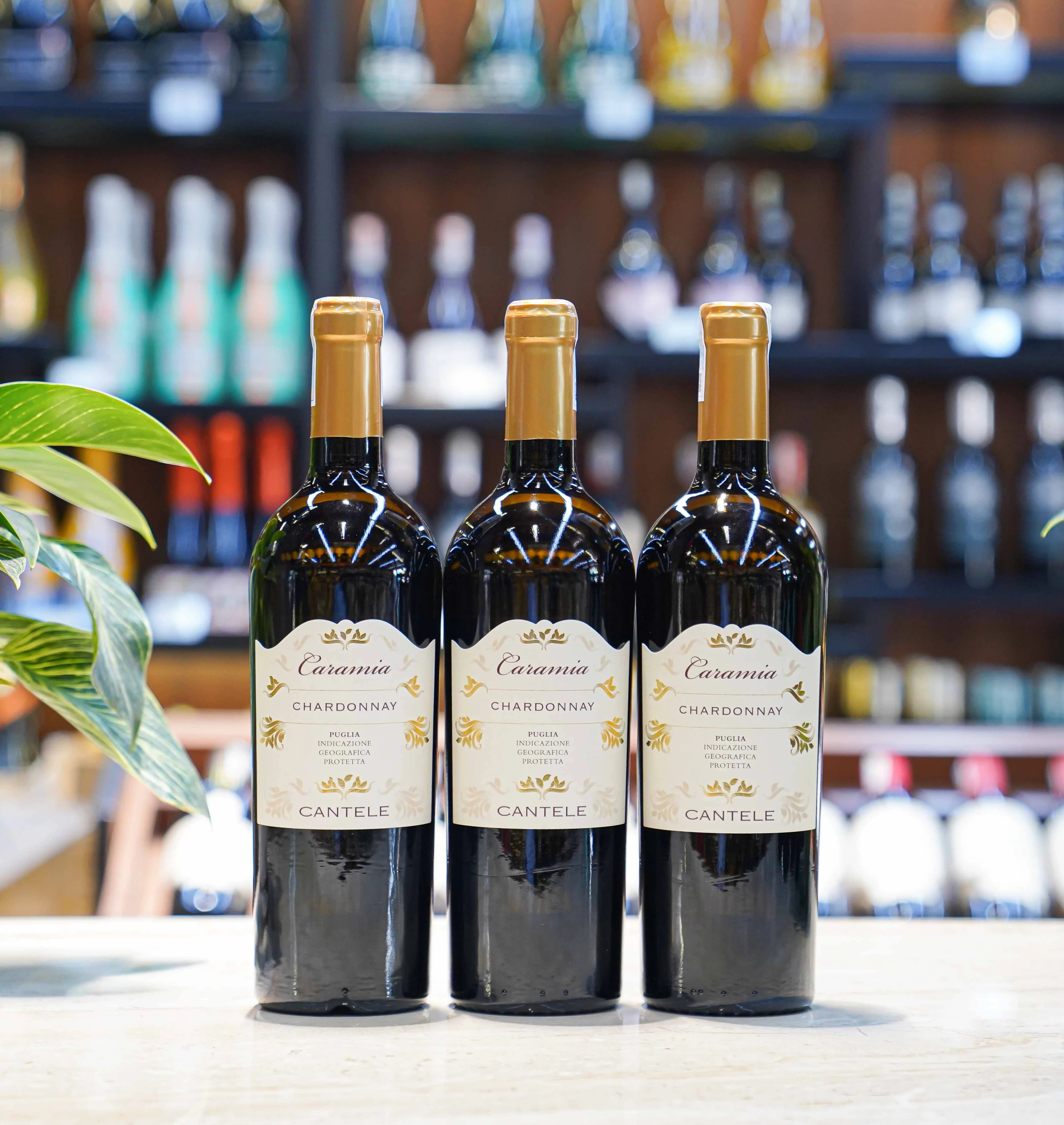 Ruou Vang Do Caramia Chardonnay 9