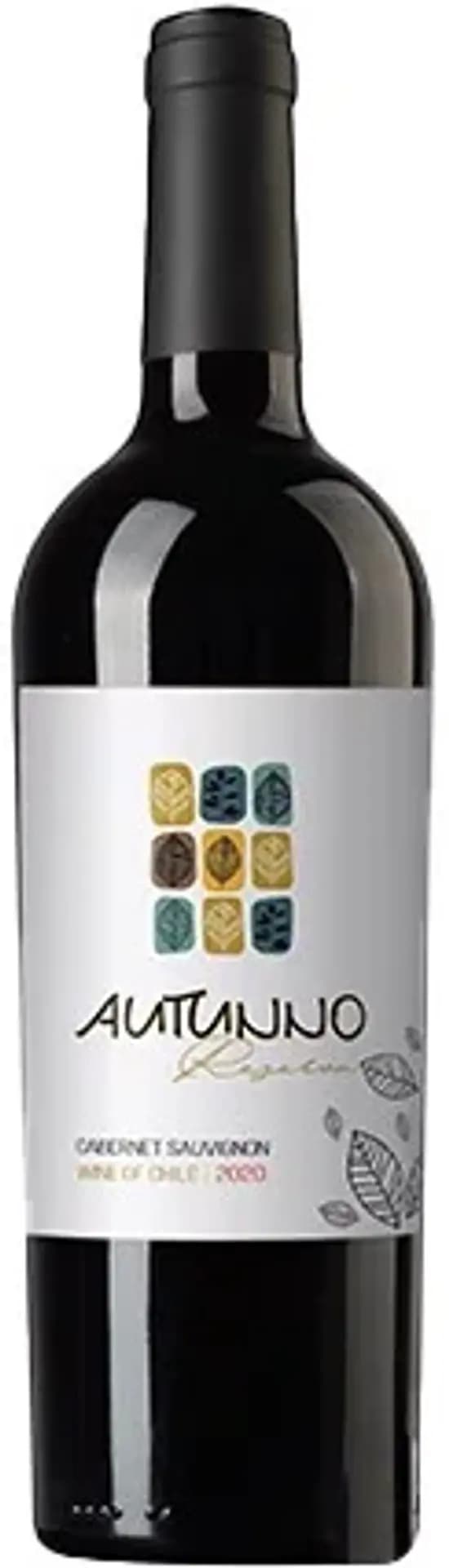 Ruou Vang Chile Autunno Reserva Cabernet Sauvignon 1