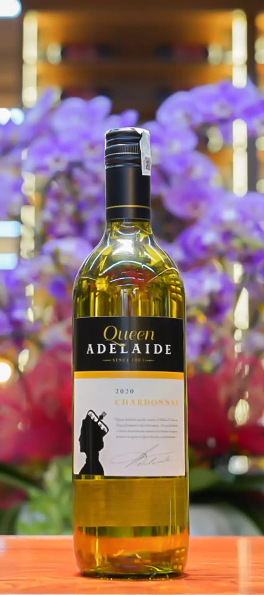 Vang Trắng Queen Adelaide Chardonnay