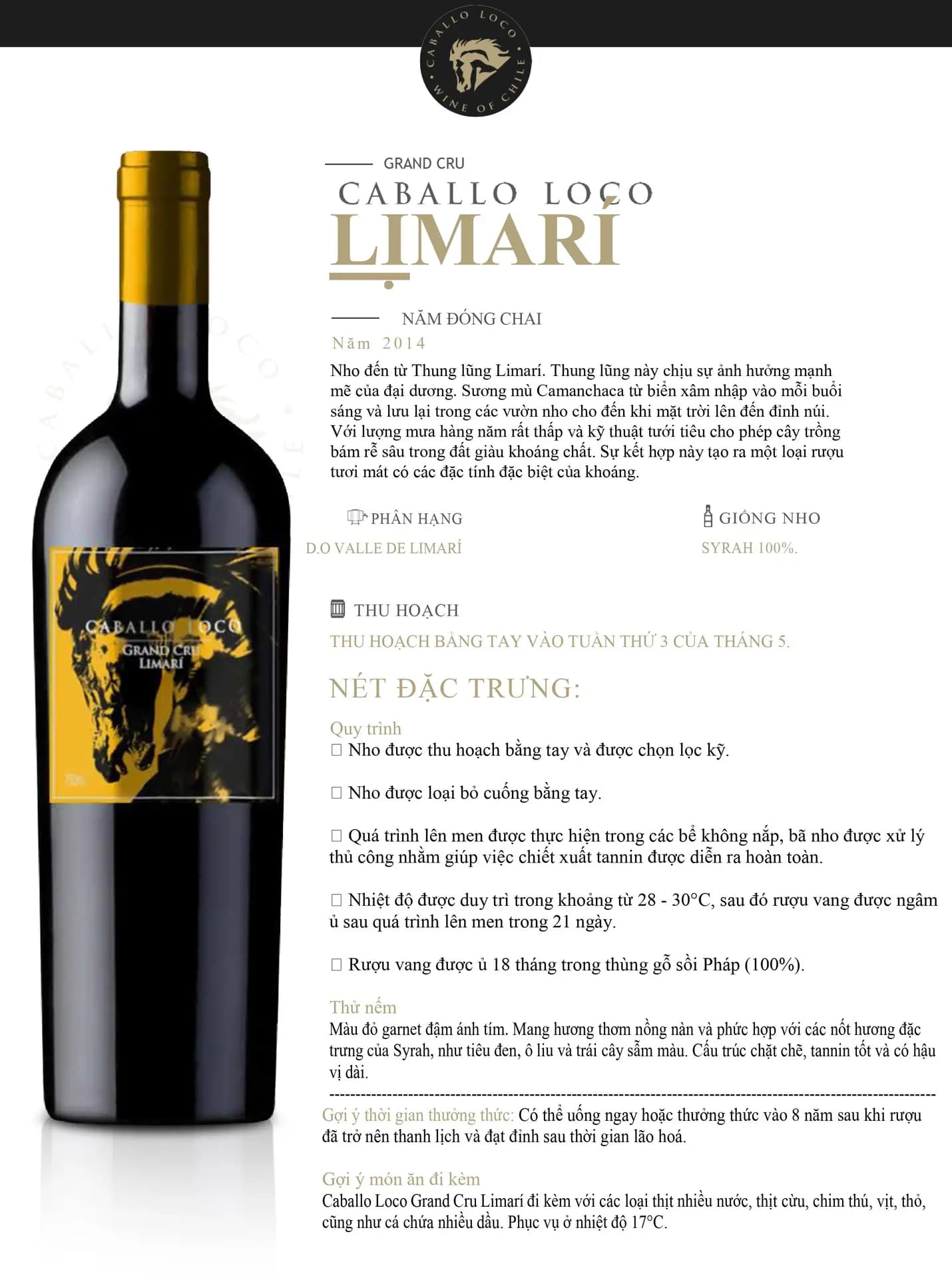 Caballo Loco Grand Cru Limari  4