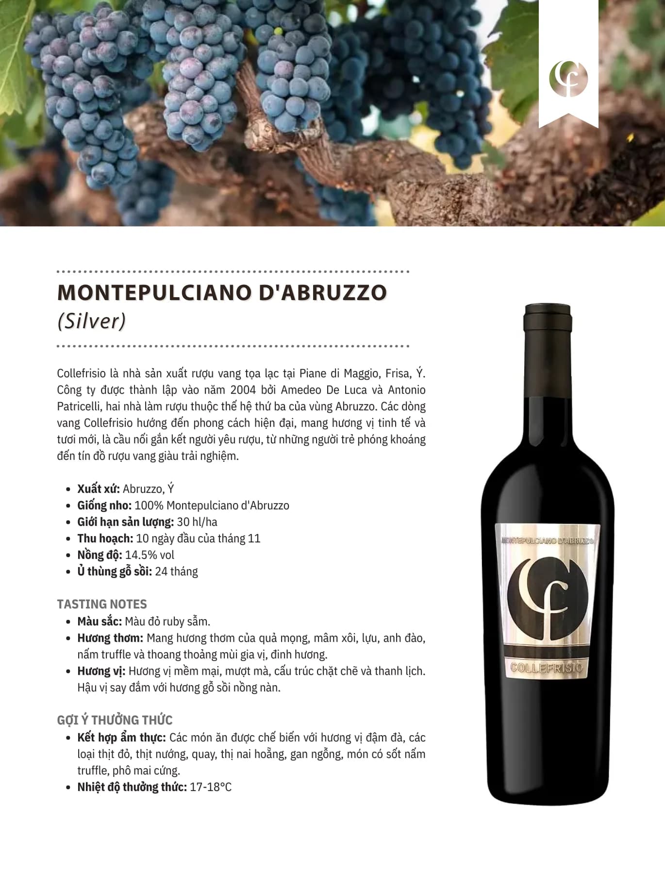 Tasting Notes Collefrisio a Montepulciano D Abruzzo Silver