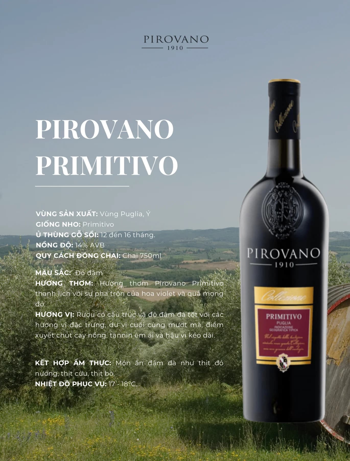Tasting Notes Pirovano Primitivo