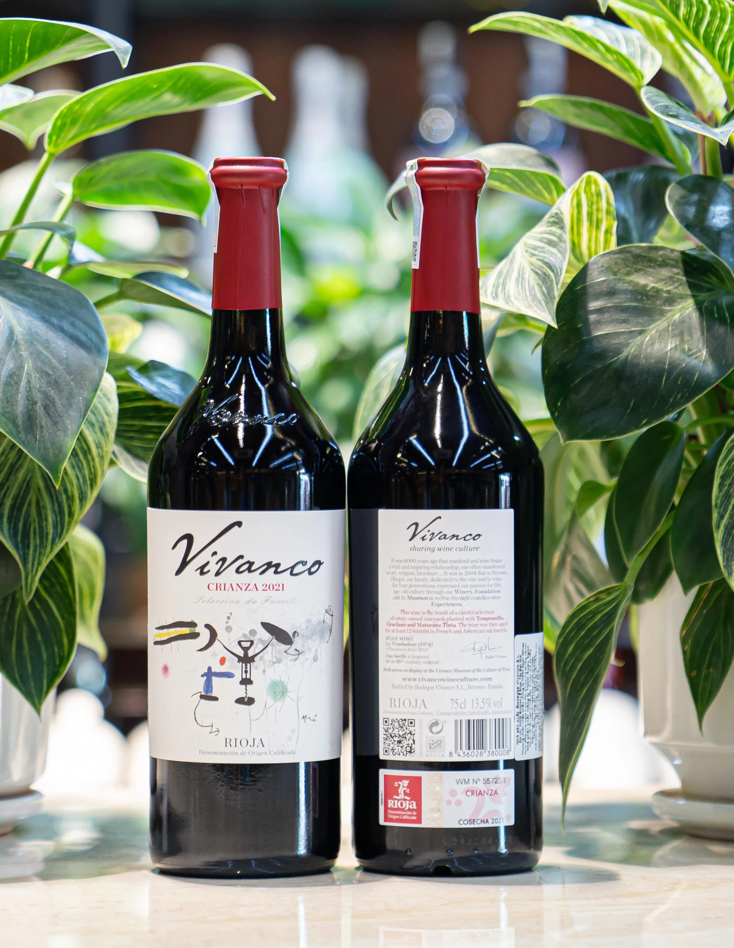 Ruou Vang Do Vivanco Crianza 2