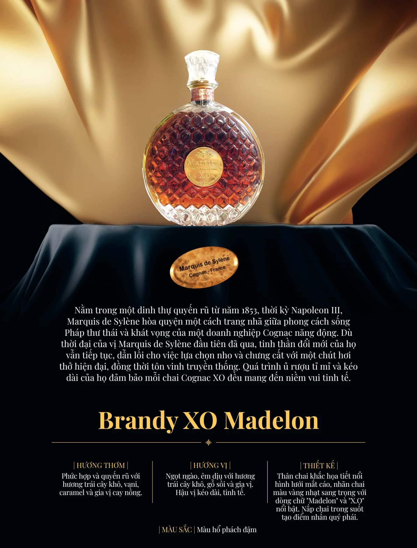 Tasting Notes Brandy Xo Madelon