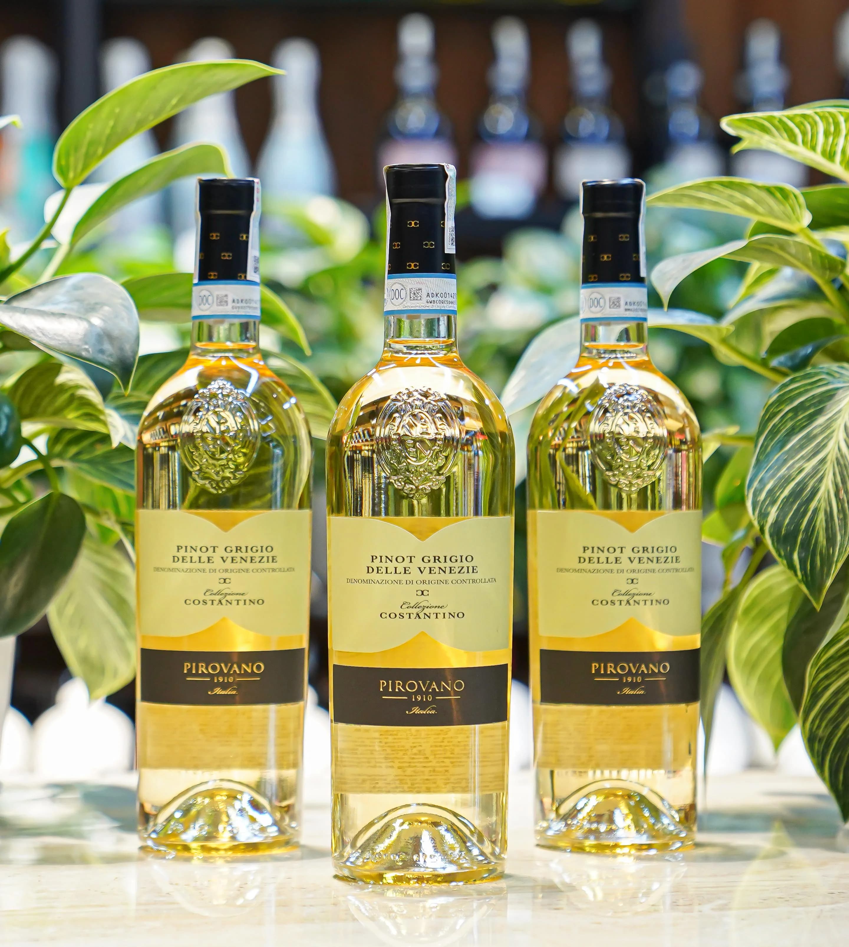 Ruou Vang Pirovano Pinot Grigio Delle Venezie 2