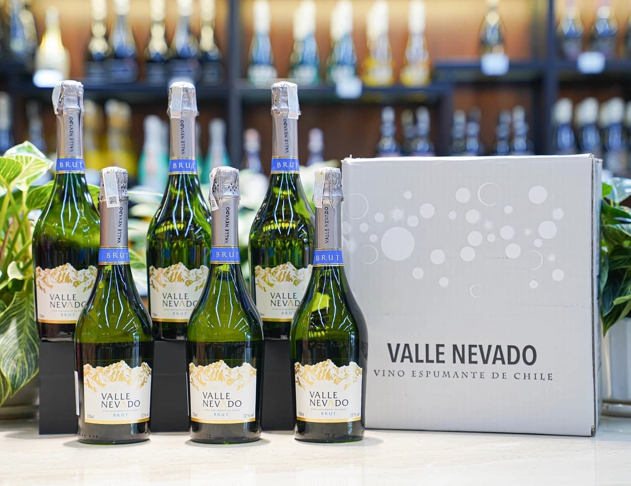 Ruou Vang Chile Valle Nevado Sparkling 7