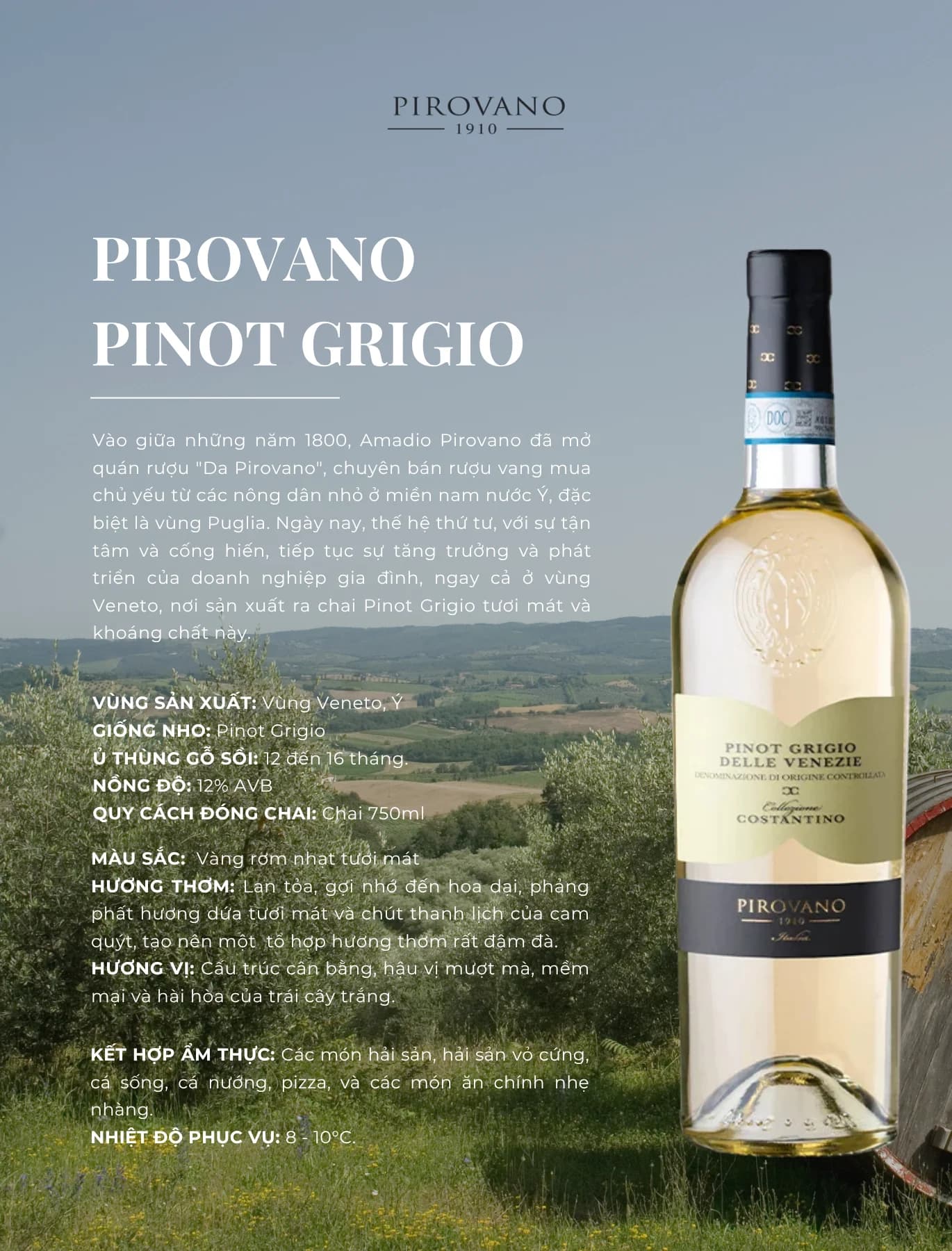 Tasting Notes Pirovano Pinot Grigio