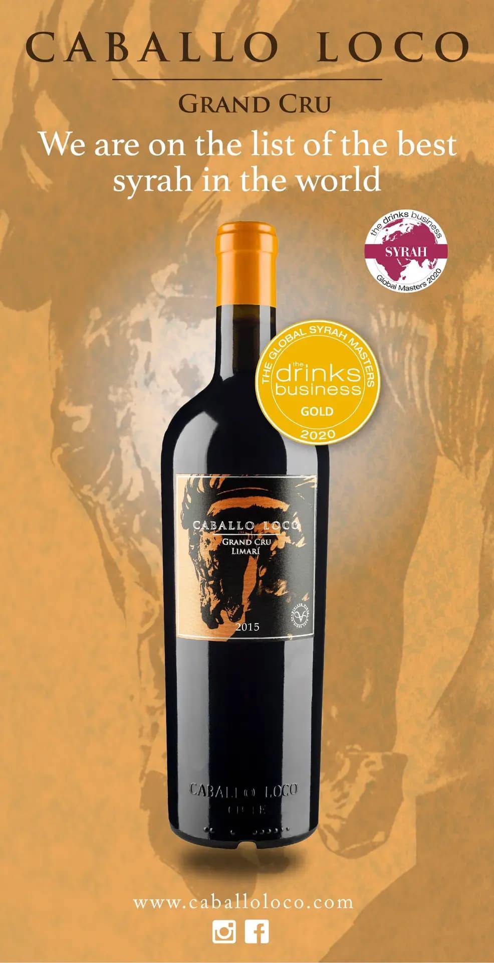Caballo Loco Grand Cru Limari  2
