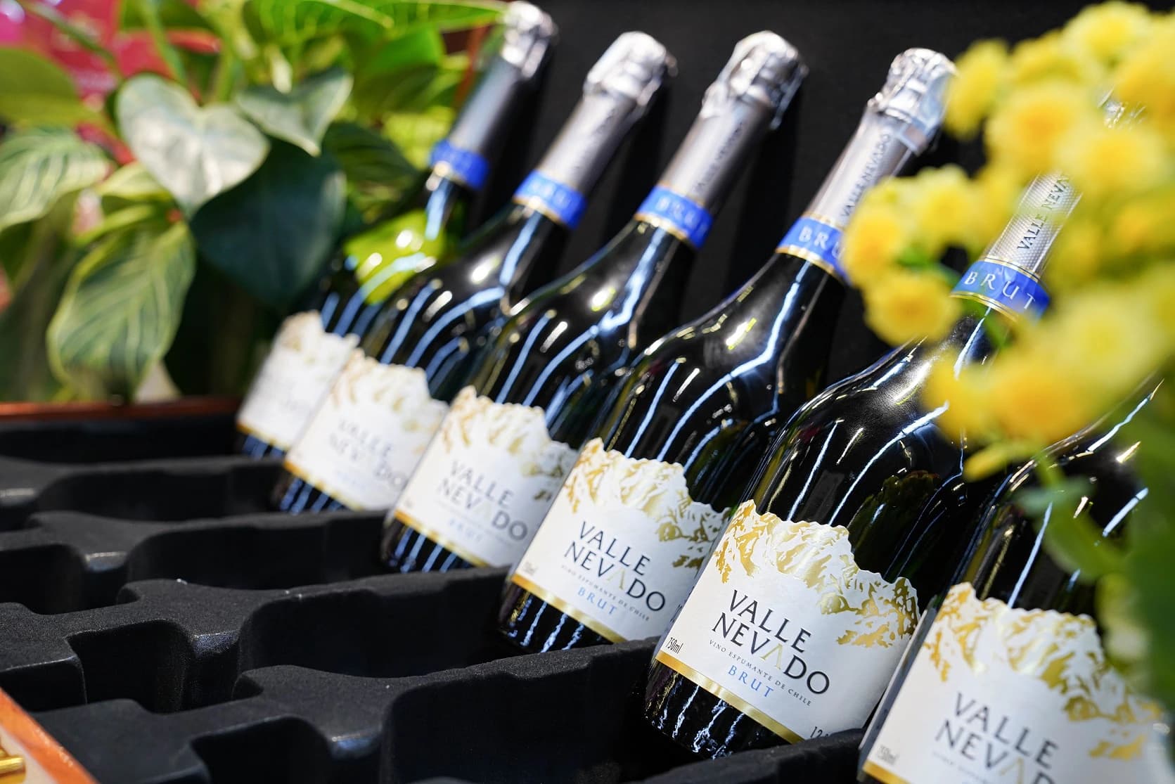 Ruou Vang Chile Valle Nevado Sparkling 4