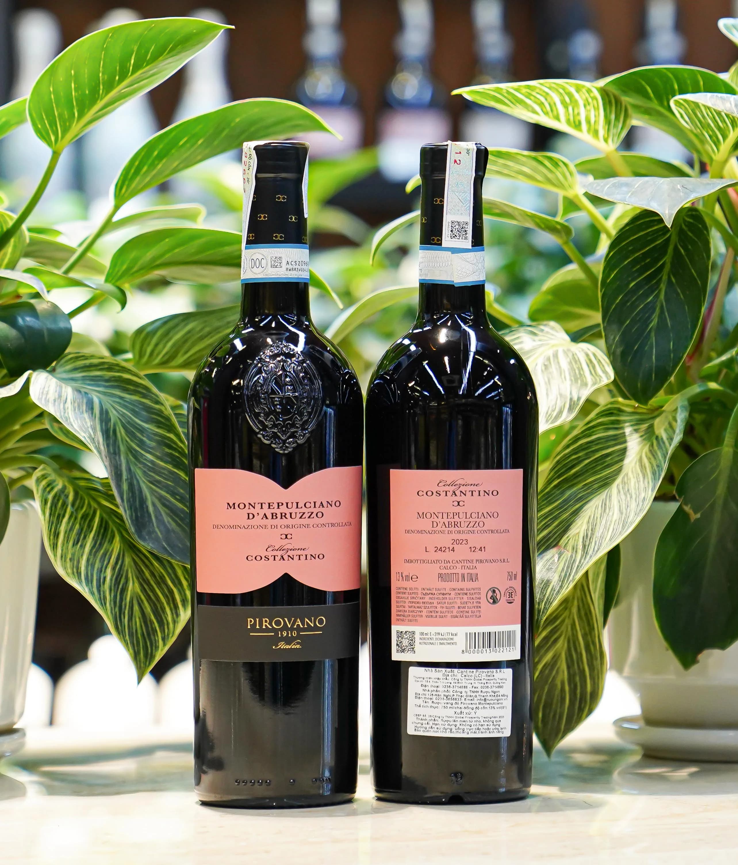 Ruou Vang Pirovano Montepulciano Delle Venezie 4