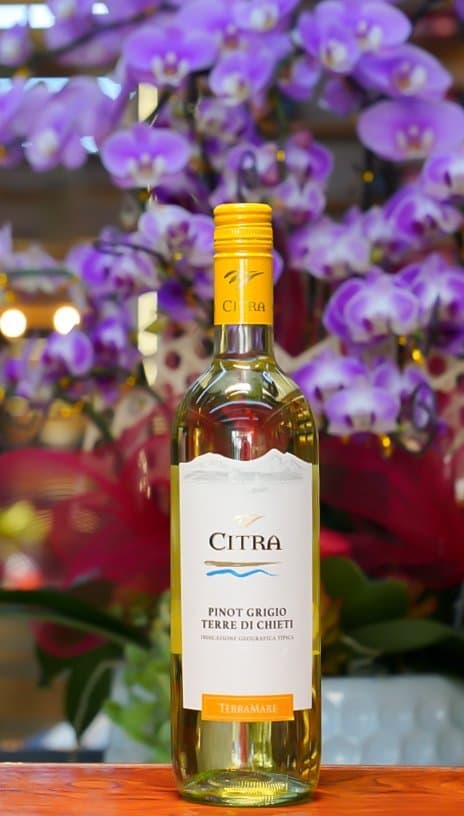 Ruou Vang Y Citra Pinot Grigio 2