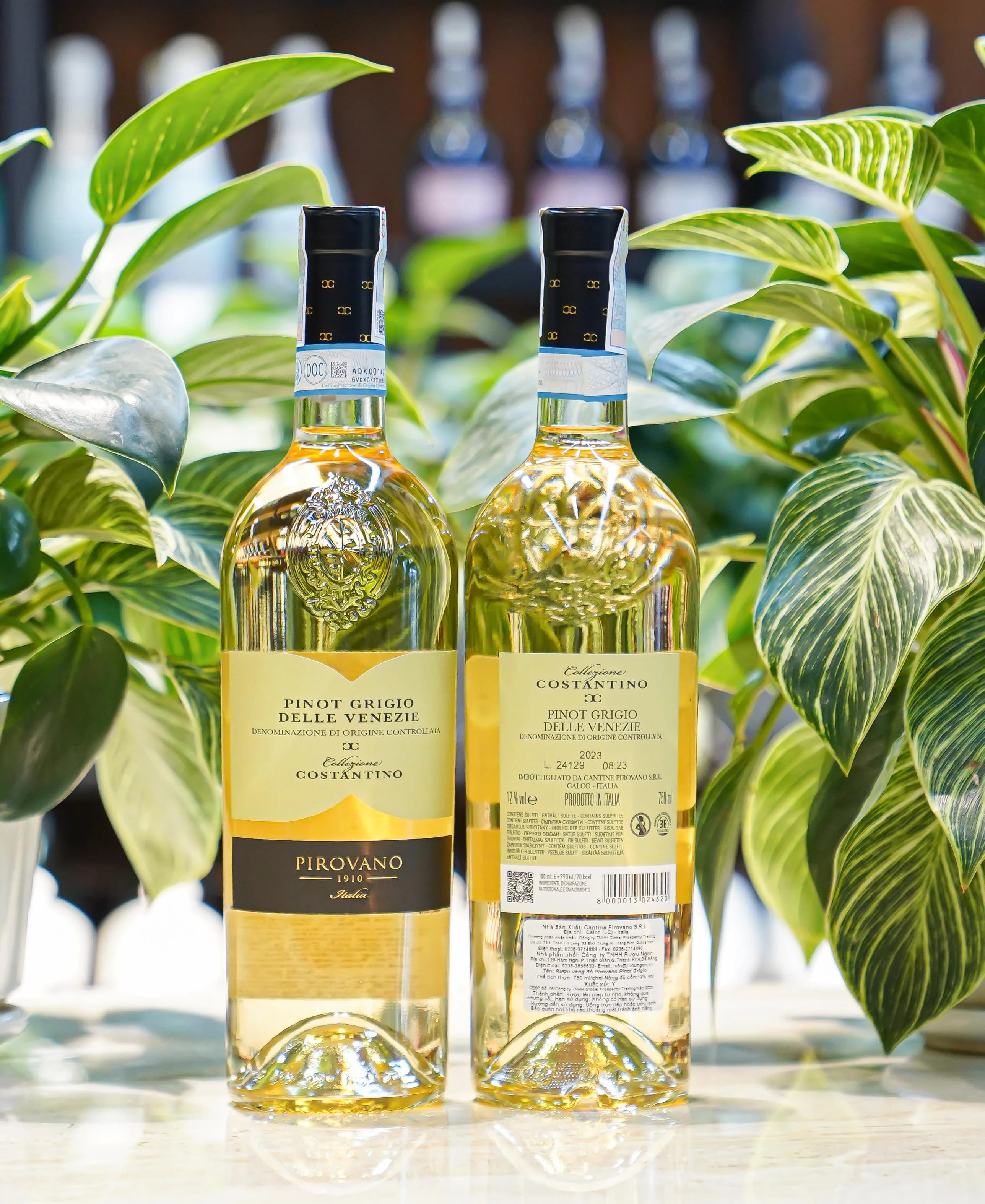 Ruou Vang Pirovano Pinot Grigio Delle Venezie 1