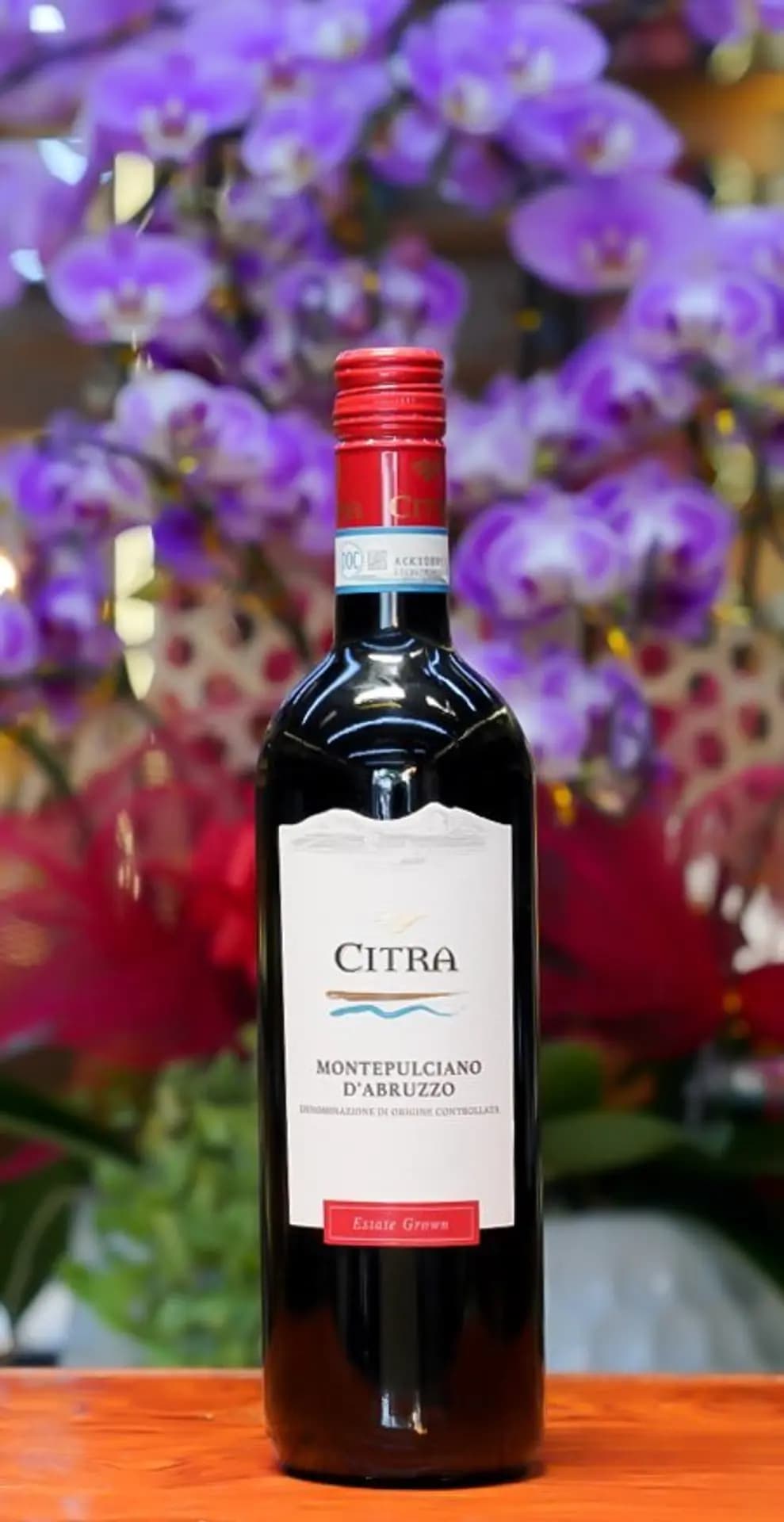 Ruou Vang Y Citra Montepulciano Dabruzzo 2