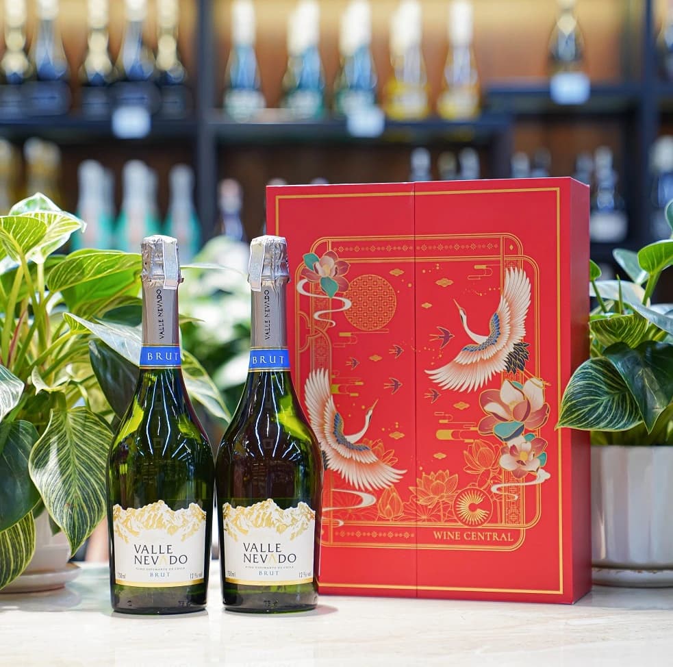 Ruou Vang Chile Valle Nevado Sparkling 12