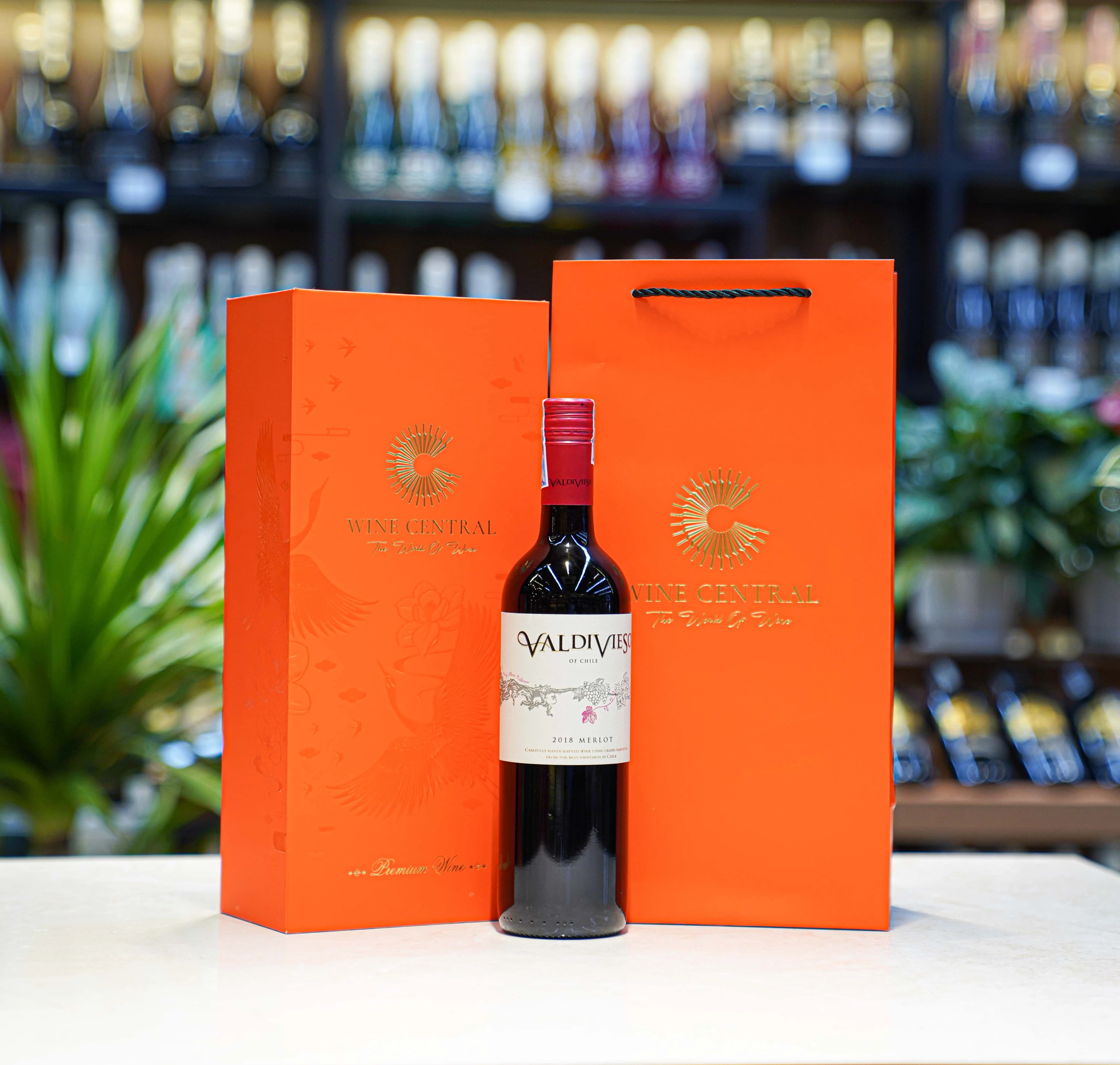 Ruou Vang Do Valdivieso Merlot 1