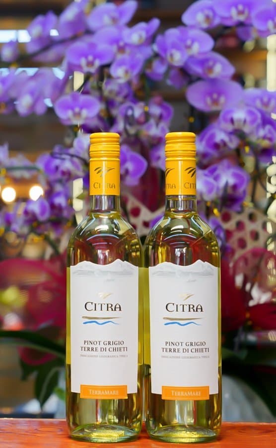 Ruou Vang Y Citra Pinot Grigio 4