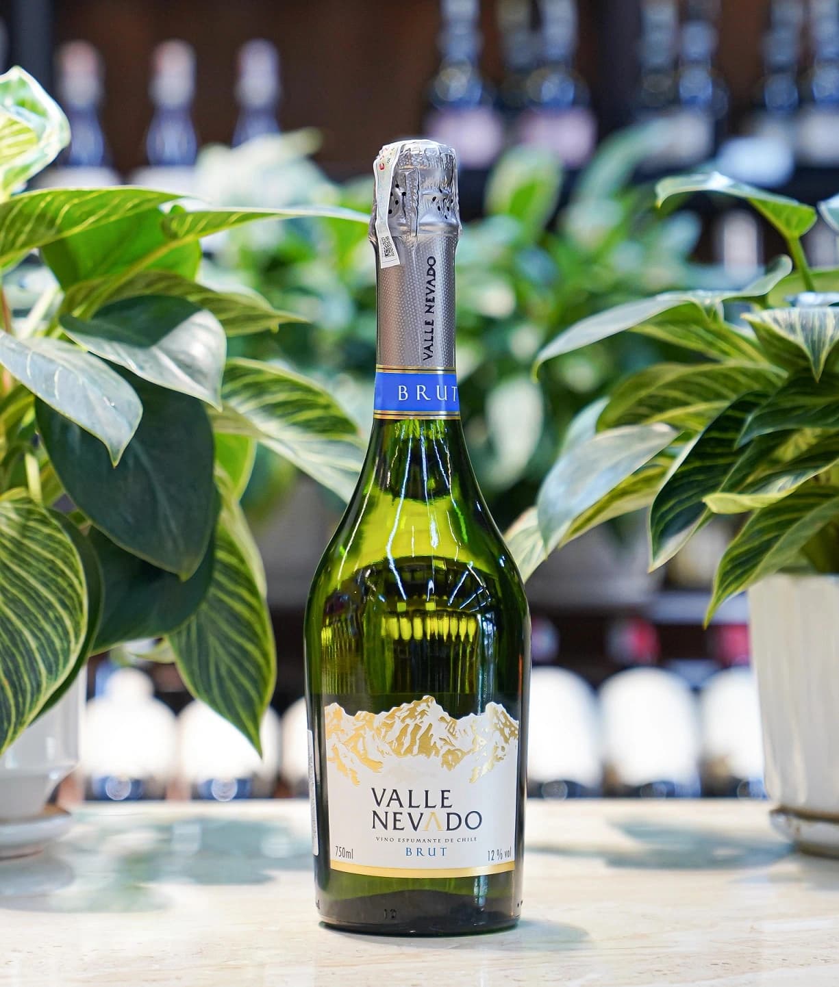 Ruou Vang Chile Valle Nevado Sparkling 2