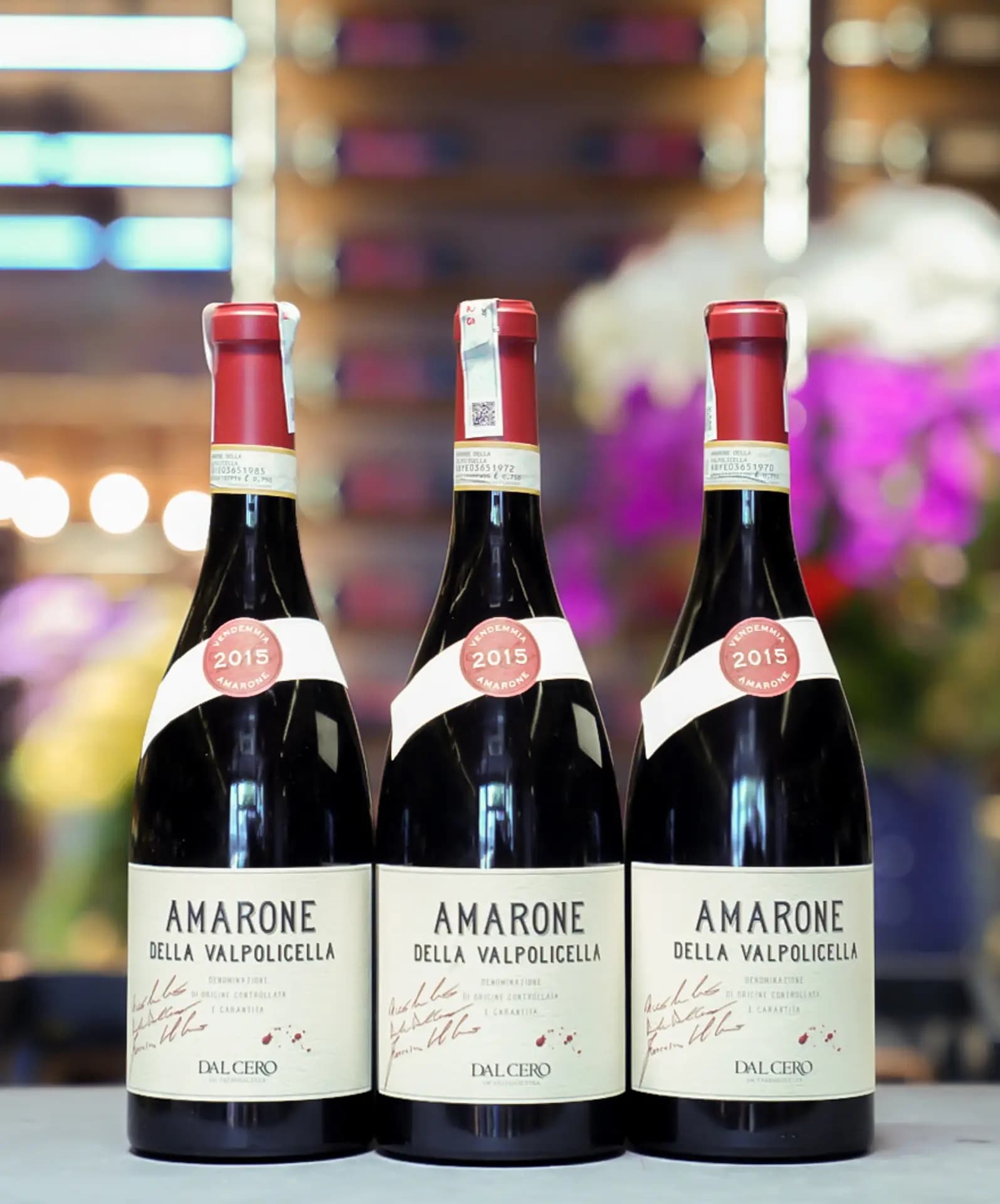 Ruou Vang Y Amarone Della Valpolicella 7