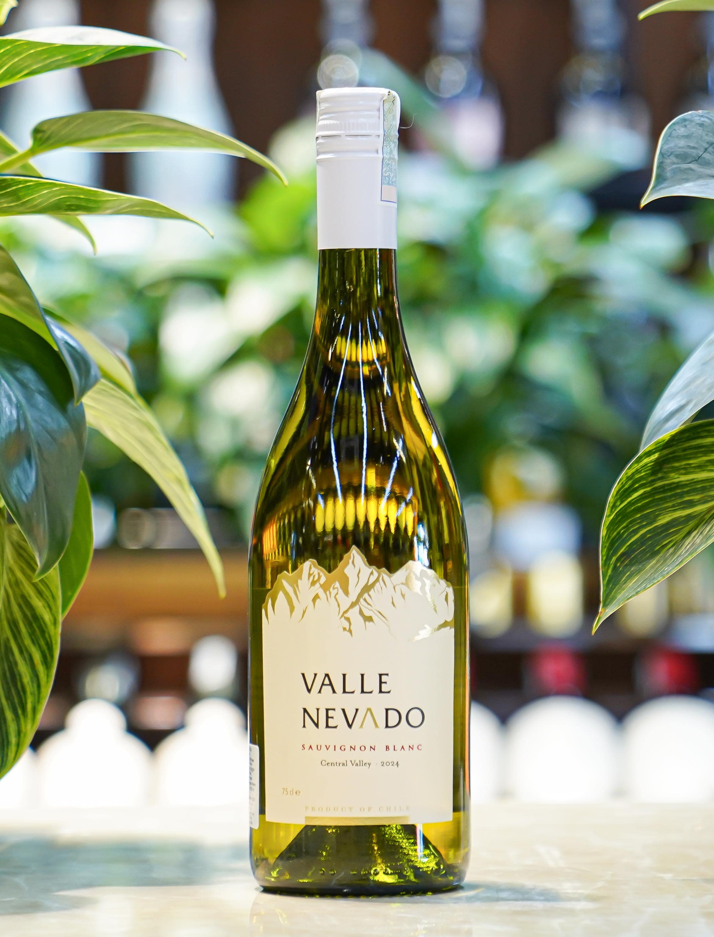 Valle Nevado Sauvignon Blanc (8)