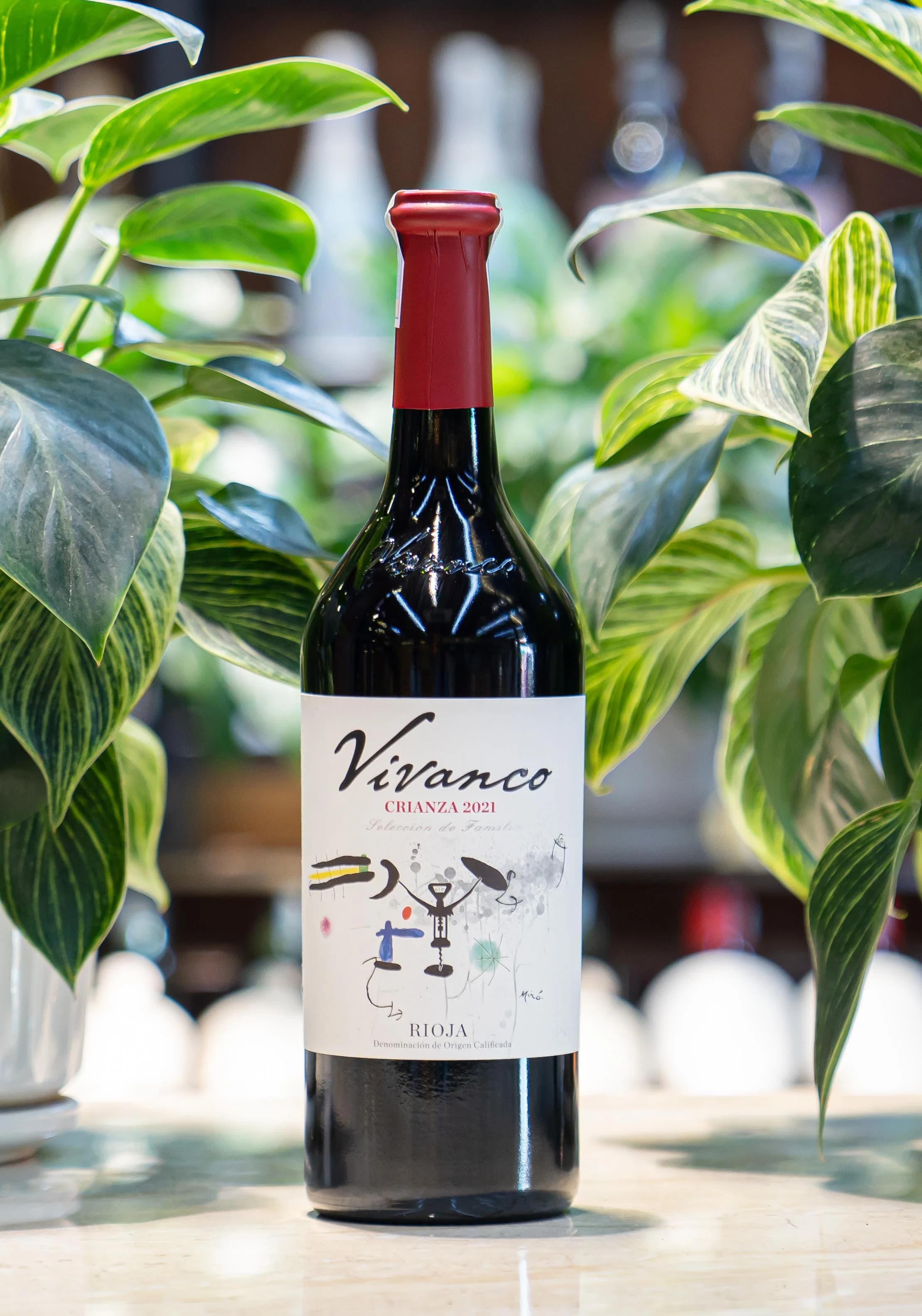 Ruou Vang Do Vivanco Crianza 1