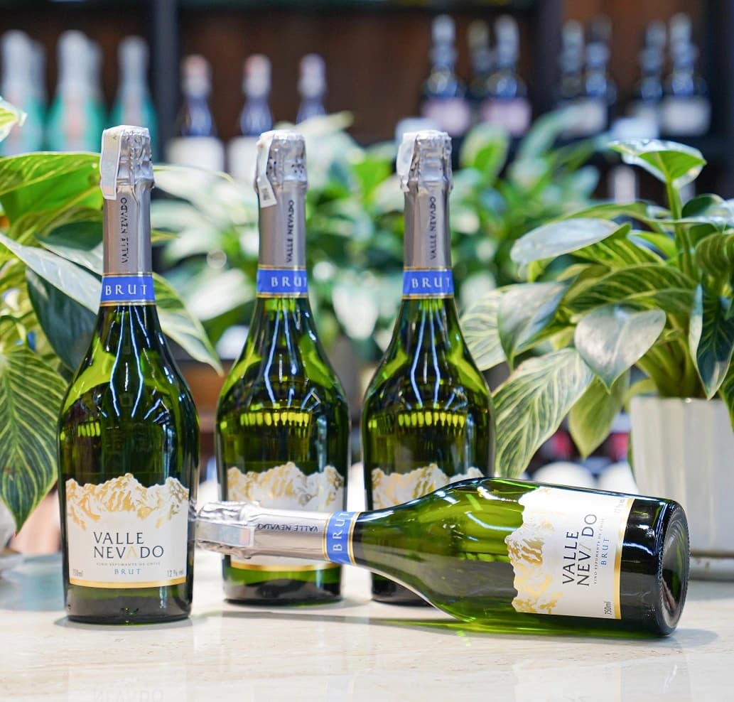 Ruou Vang Chile Valle Nevado Sparkling 8