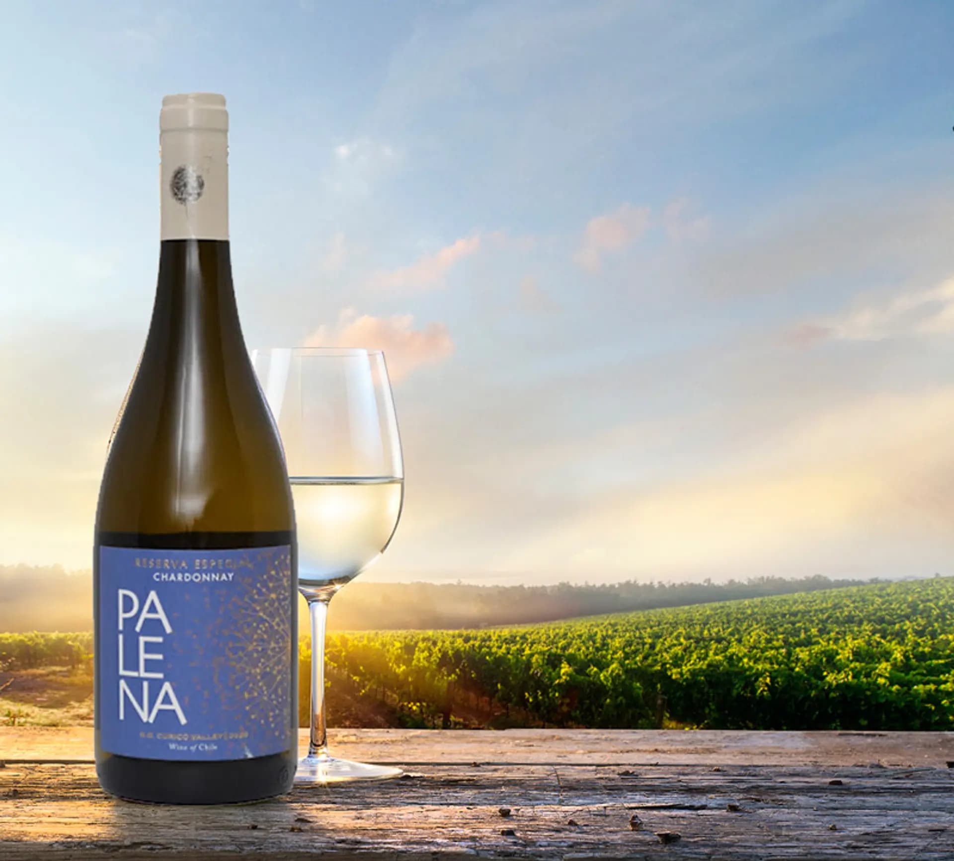 Ruou Vang Chile Palena Reserva Chardonnay 2