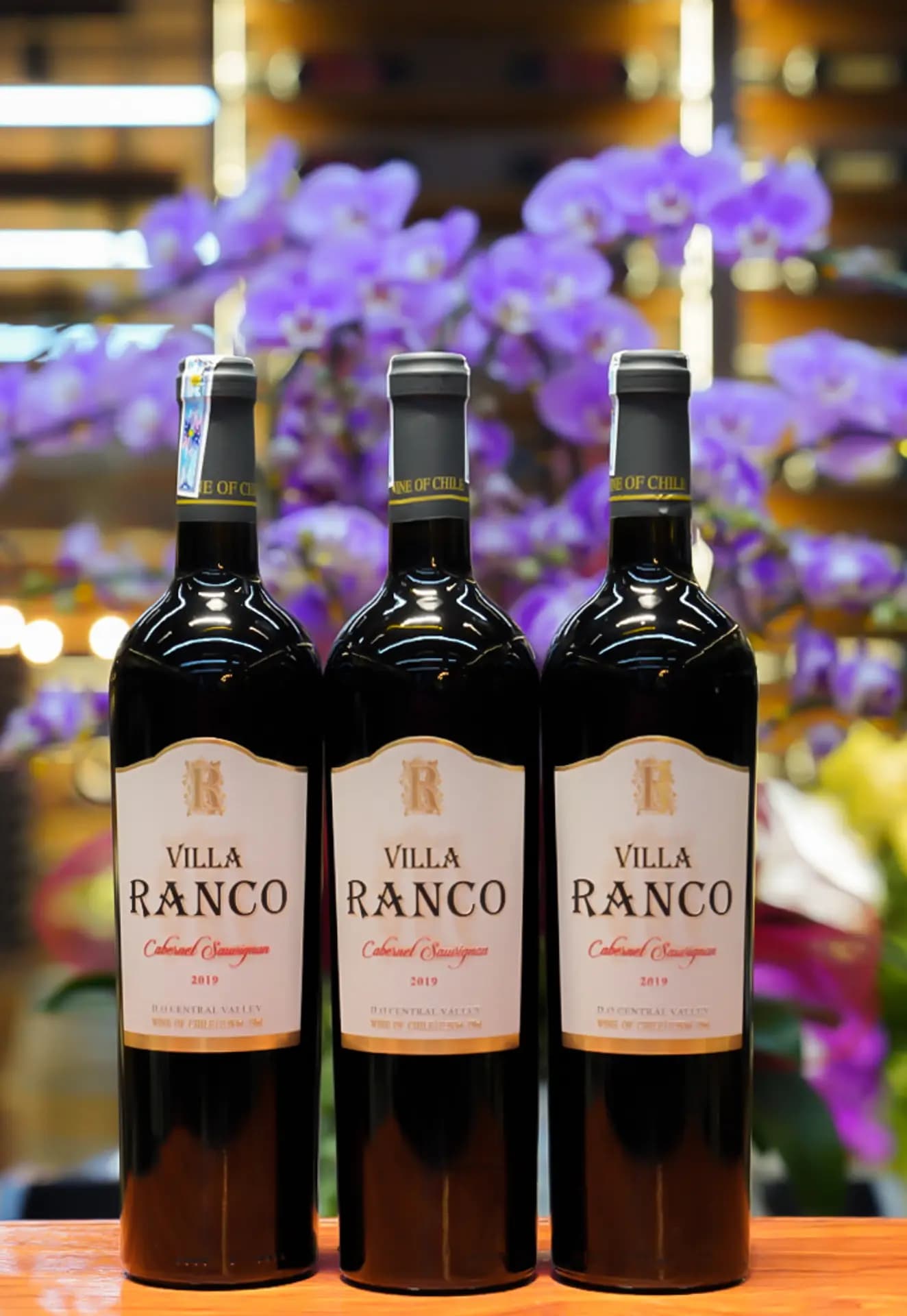 Ruou Vang Chile Ranco Cabernet Sauvignon 4