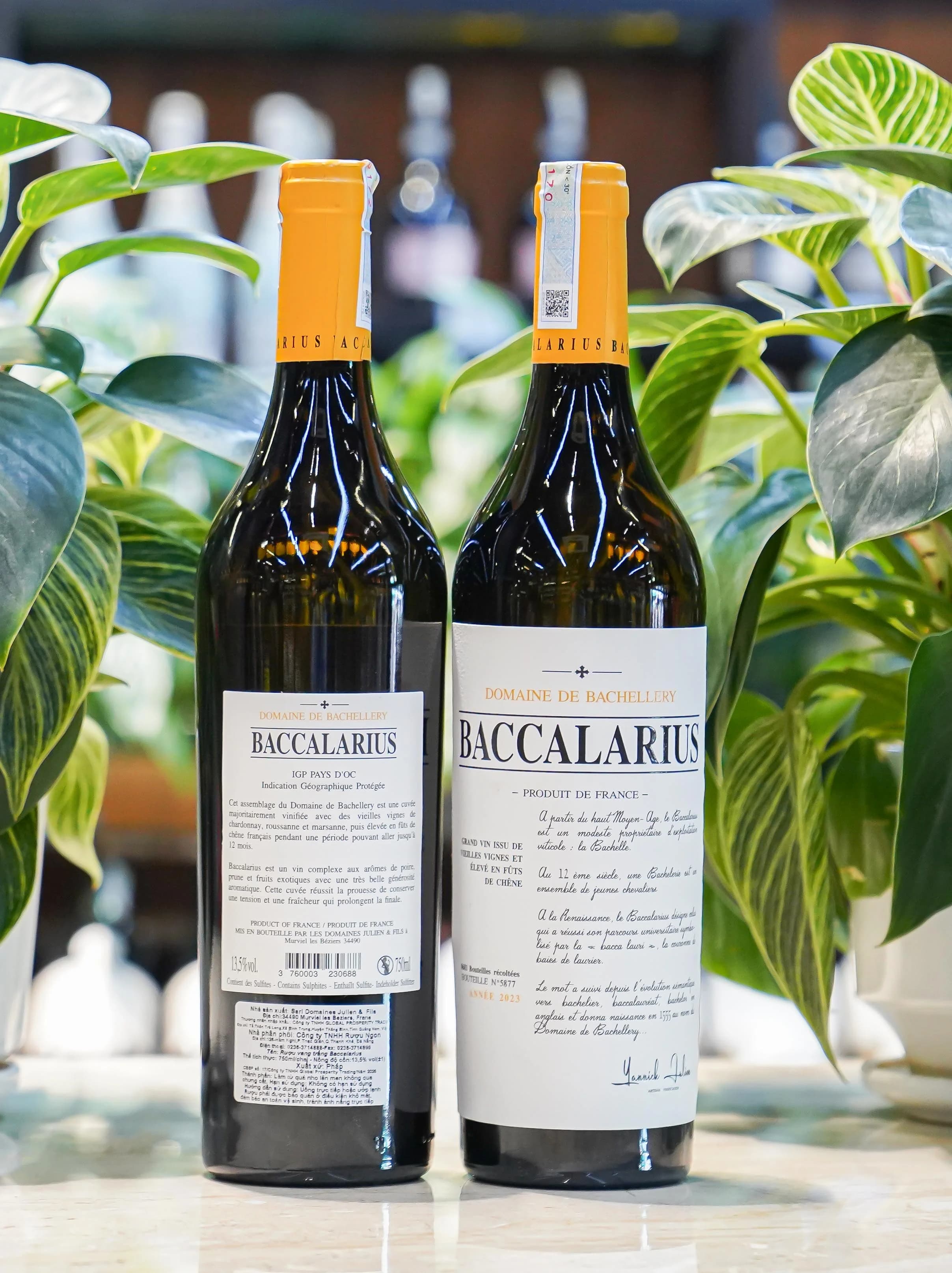 Ruou Vang Trang Baccalarius Blanc 2