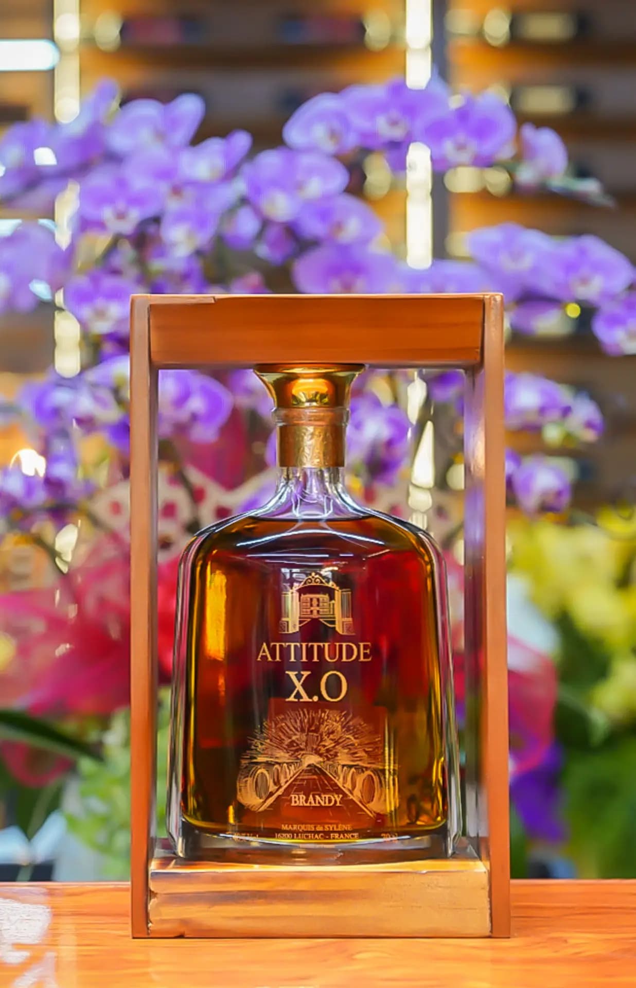 Ruou Vang Phap Brandy Xo Attitude 3