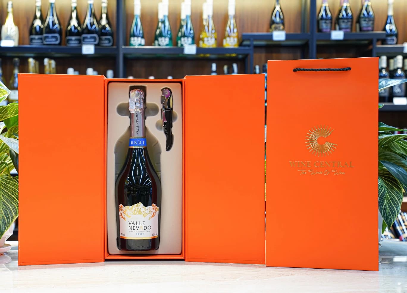 Ruou Vang Chile Valle Nevado Sparkling 11