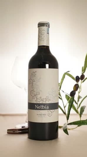 Nebbia 16 2
