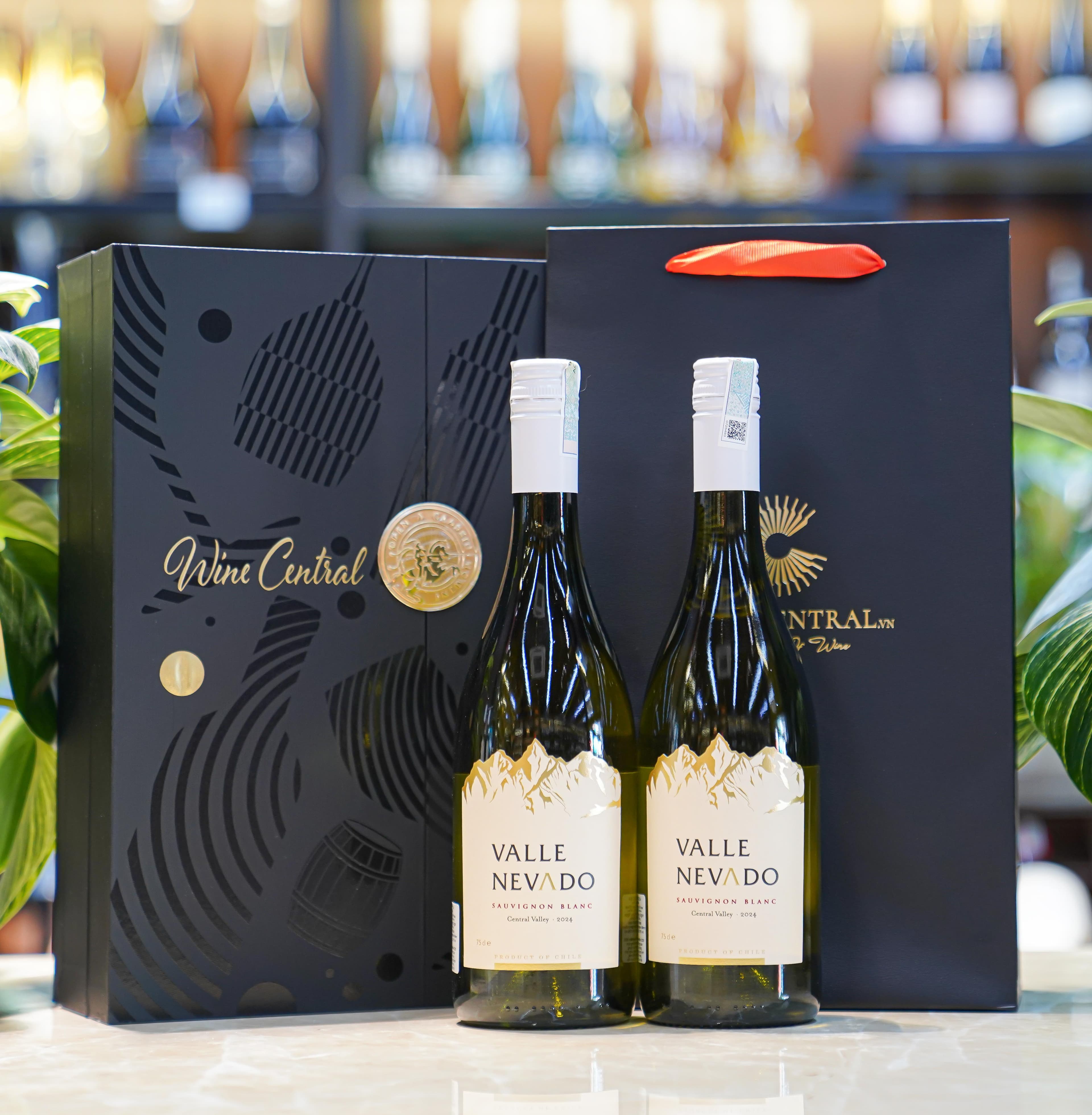 Valle Nevado Sauvignon Blanc (5)