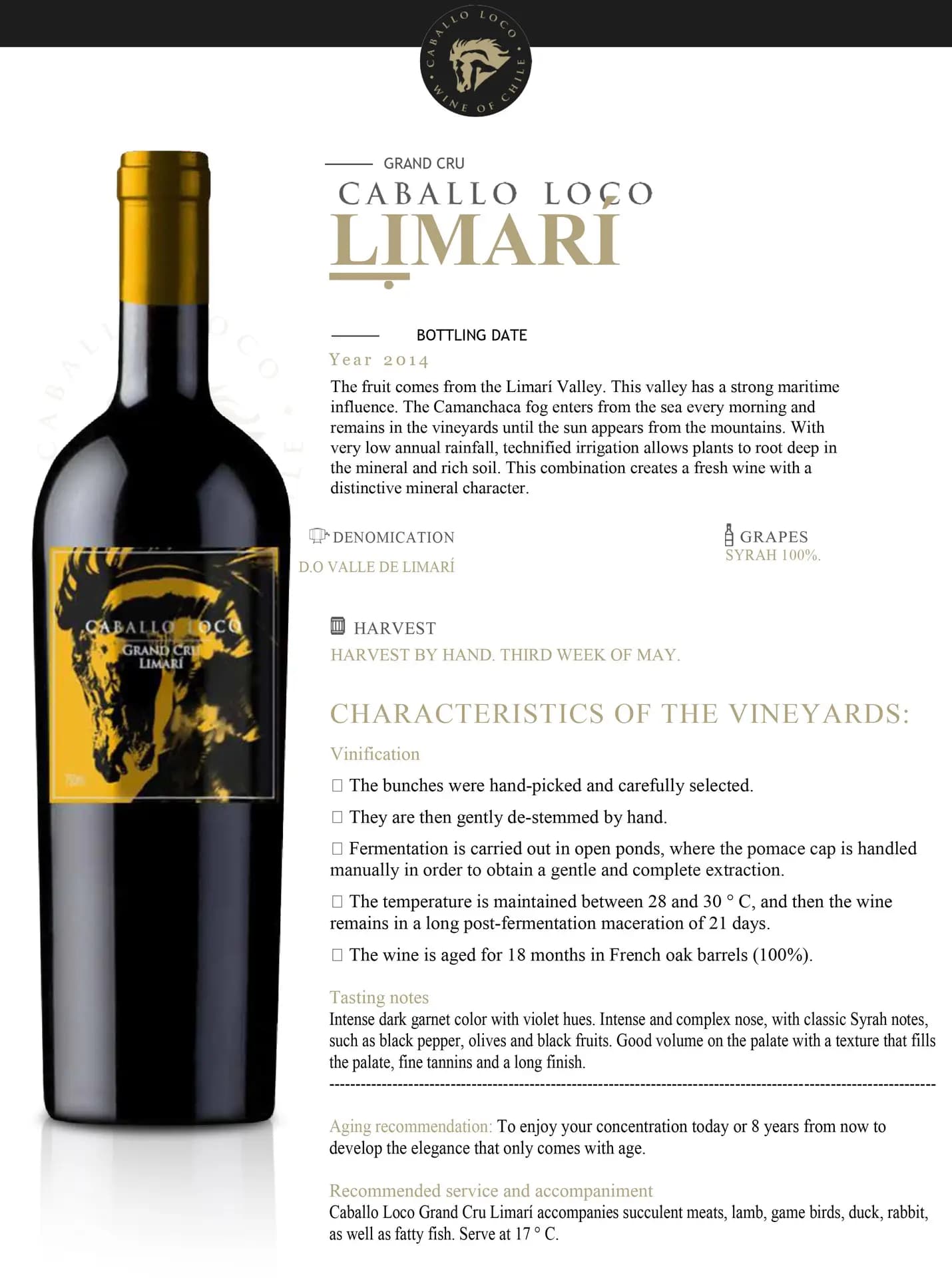 Caballo Loco Grand Cru Limari  8