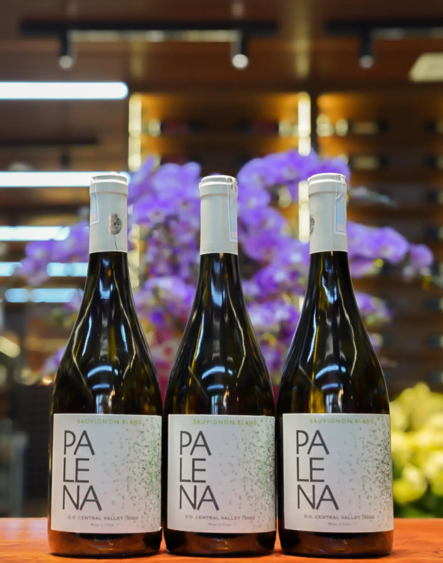 Ruou Vang Chile Palena Sauvignon Blanc 6