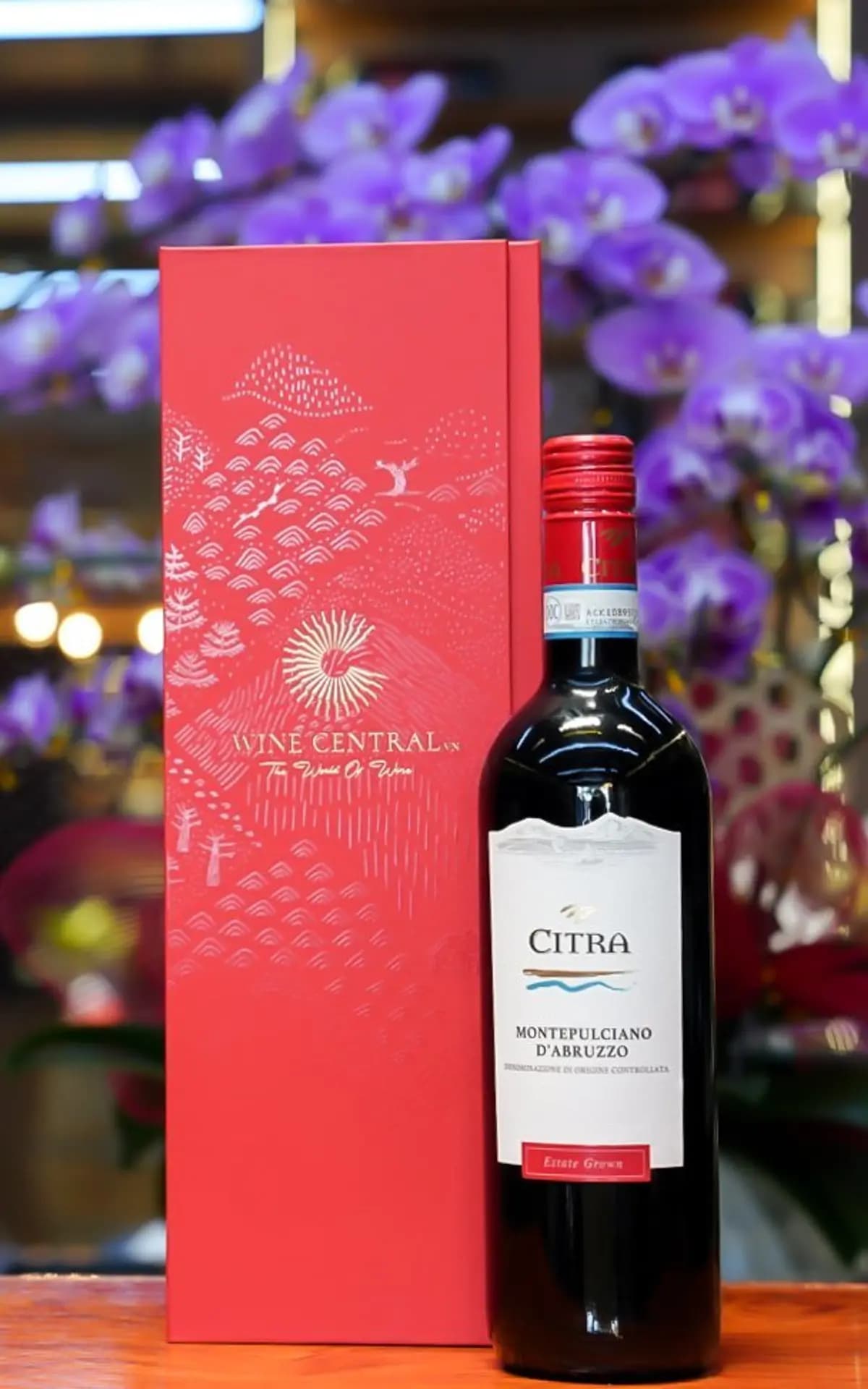 Ruou Vang Y Citra Montepulciano Dabruzzo 4