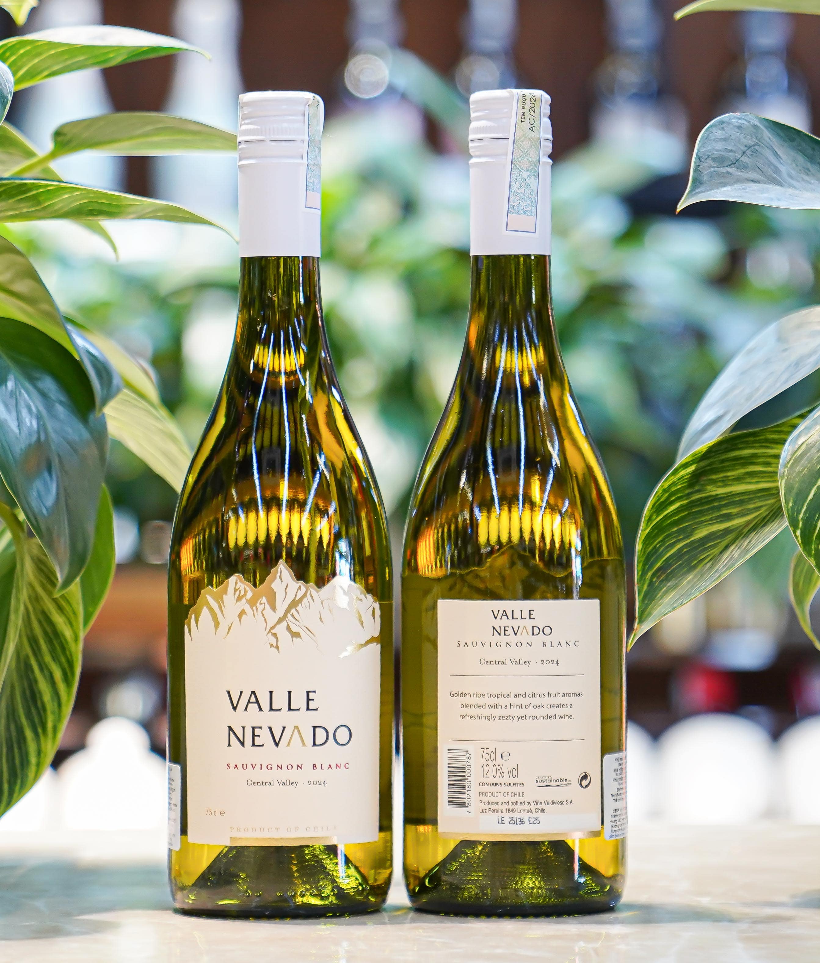 Valle Nevado Sauvignon Blanc (1)