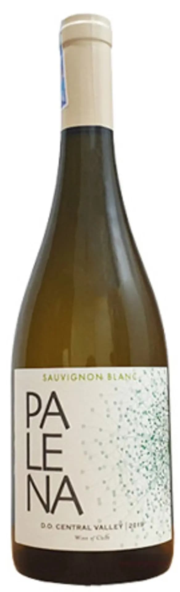 Ruou Vang Chile Palena Sauvignon Blanc 1