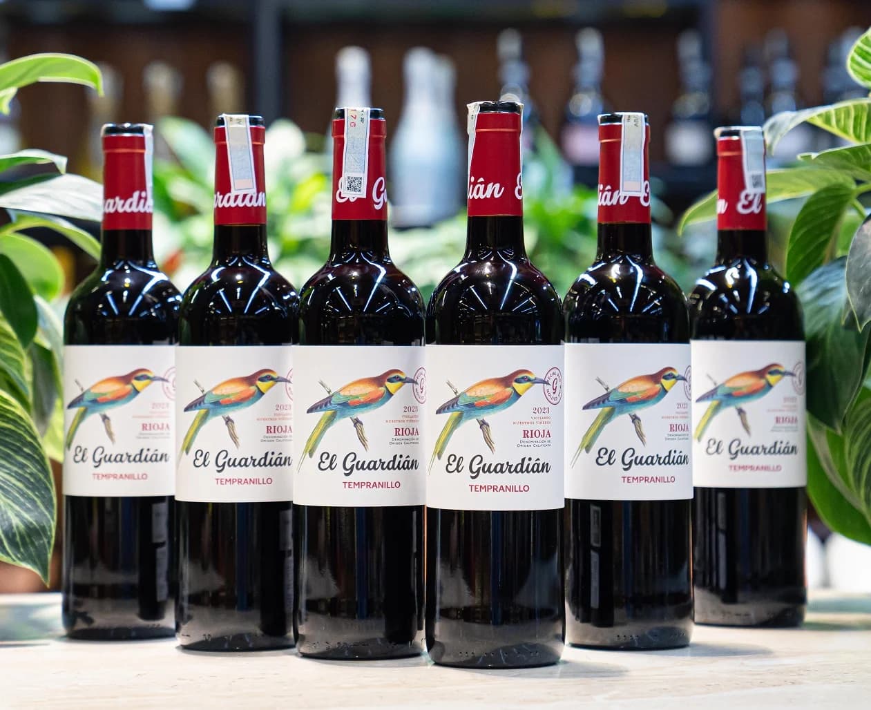 Ruou Vang Do El Guardian Tempranillo 12