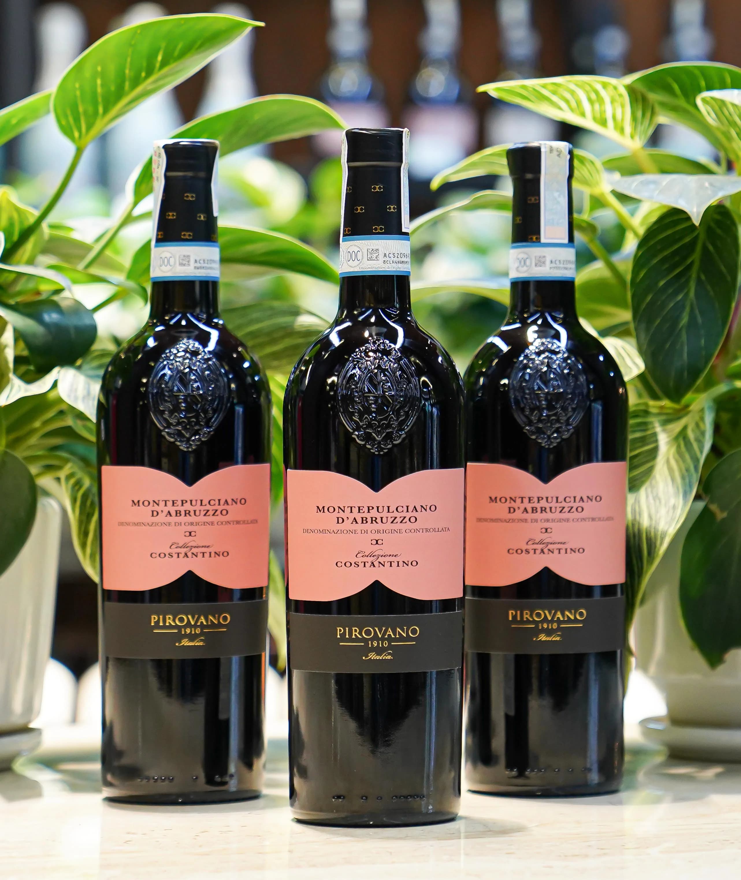 Ruou Vang Pirovano Montepulciano Delle Venezie 5