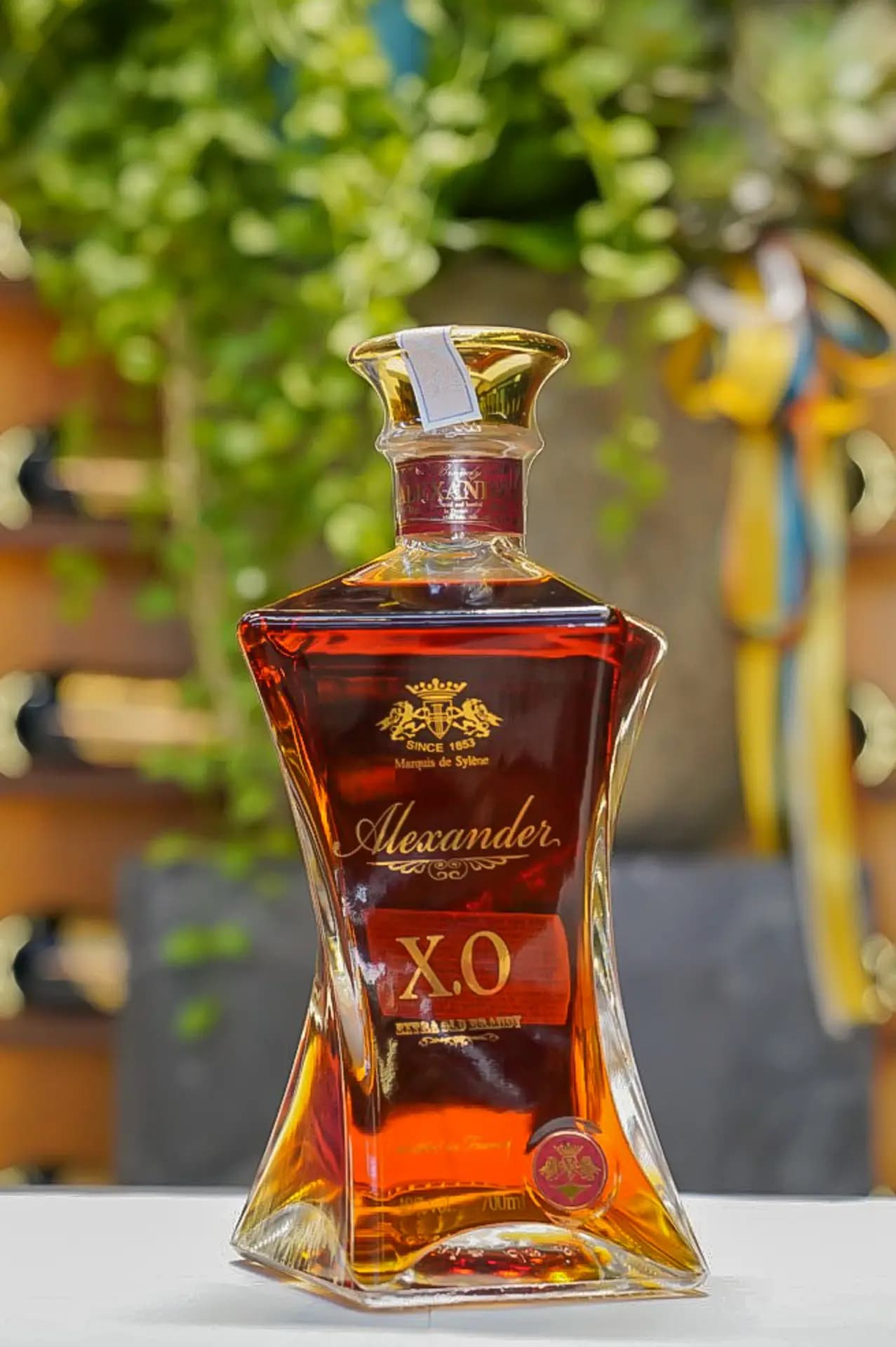 Ruou Vang Phap Brandy Xo Alexander 4
